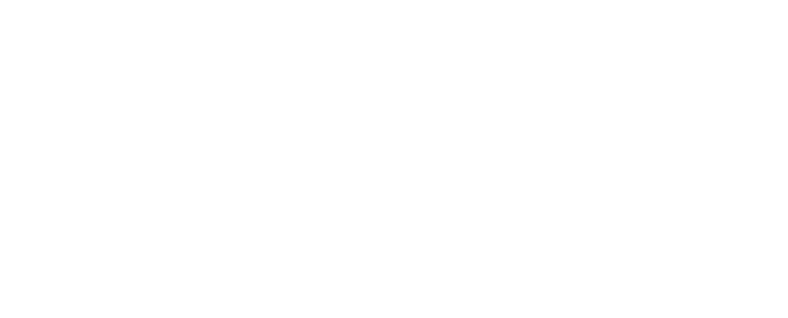 3XF CAPITAL