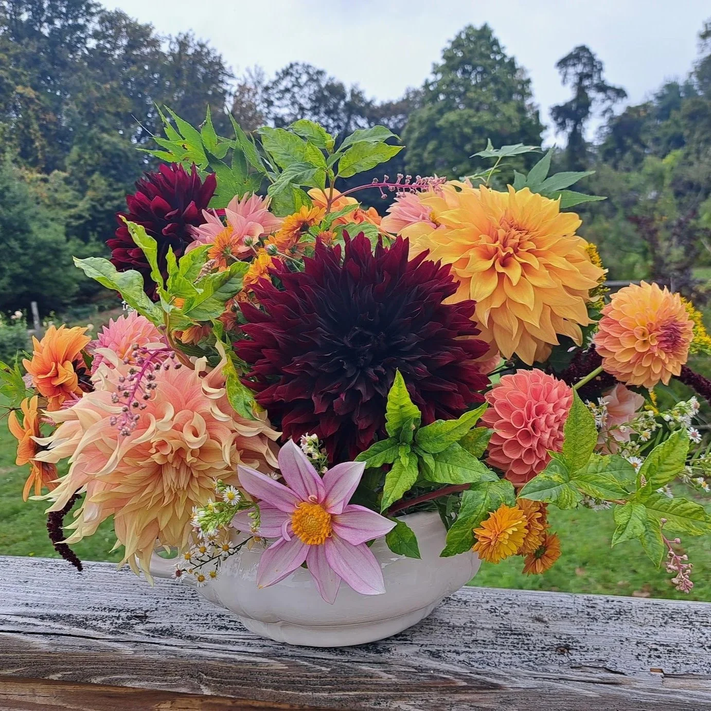 A colorful bouquet of dahlias, zinnias, and other flowers in a white ceramic bowl on a weathered wooden surface outdoors.