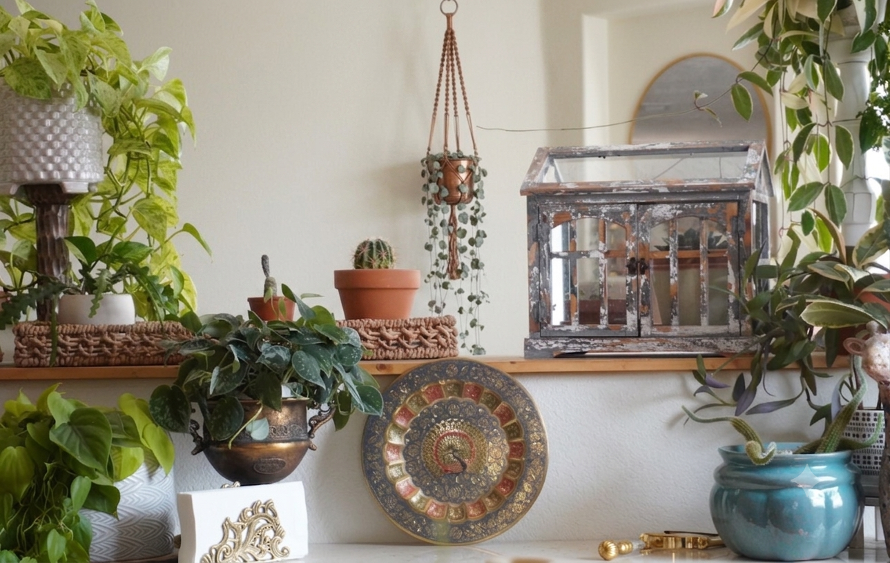 Arrangement of potted plants, decorative plates, and a vintage glass display case on a shelf with a mirror and a hanging plant in the background.