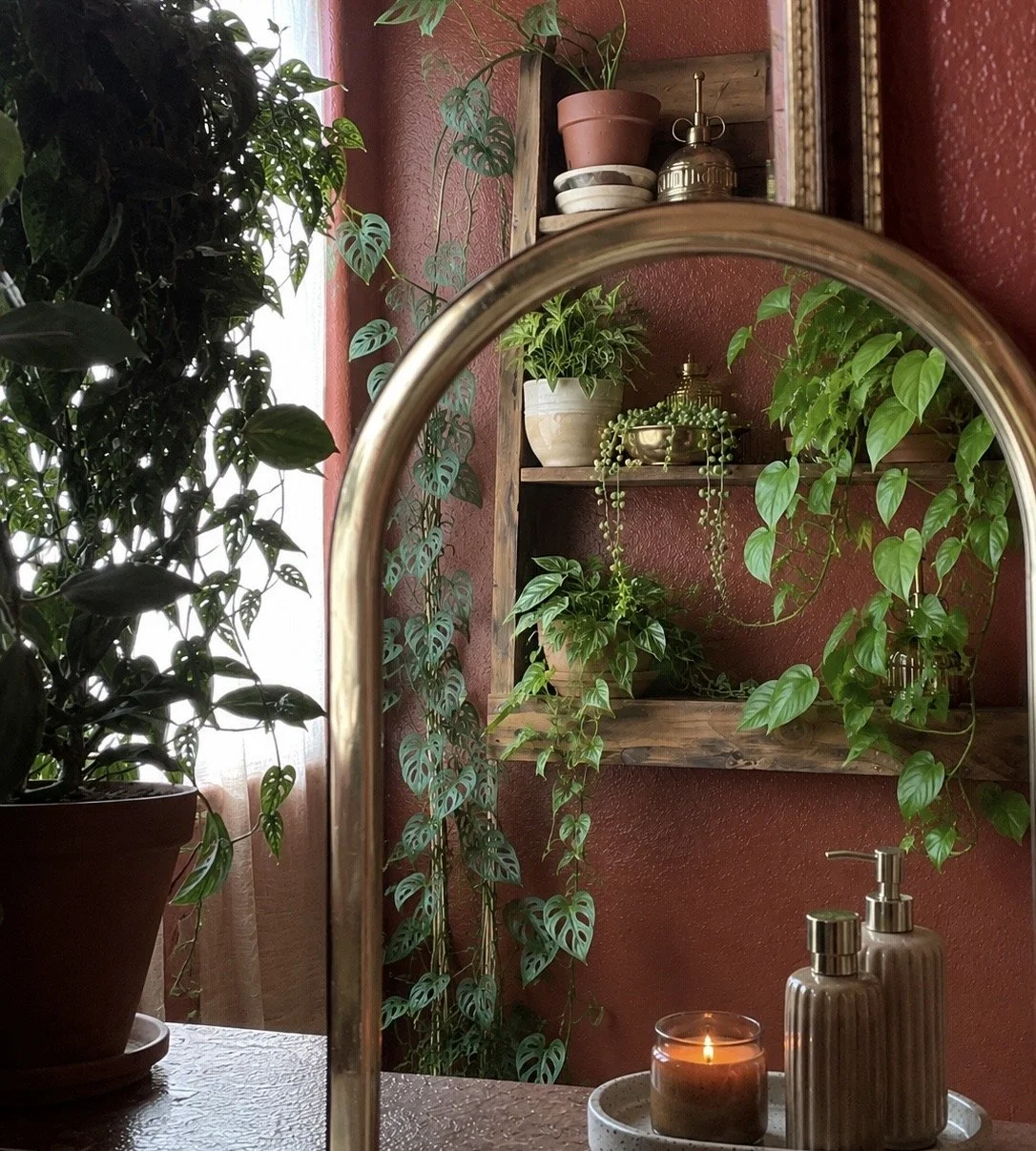 A mirror reflects a cozy corner with shelves of potted plants, a candle, and soap dispensers, with a large leafy plant on the left and a red textured wall in the background.