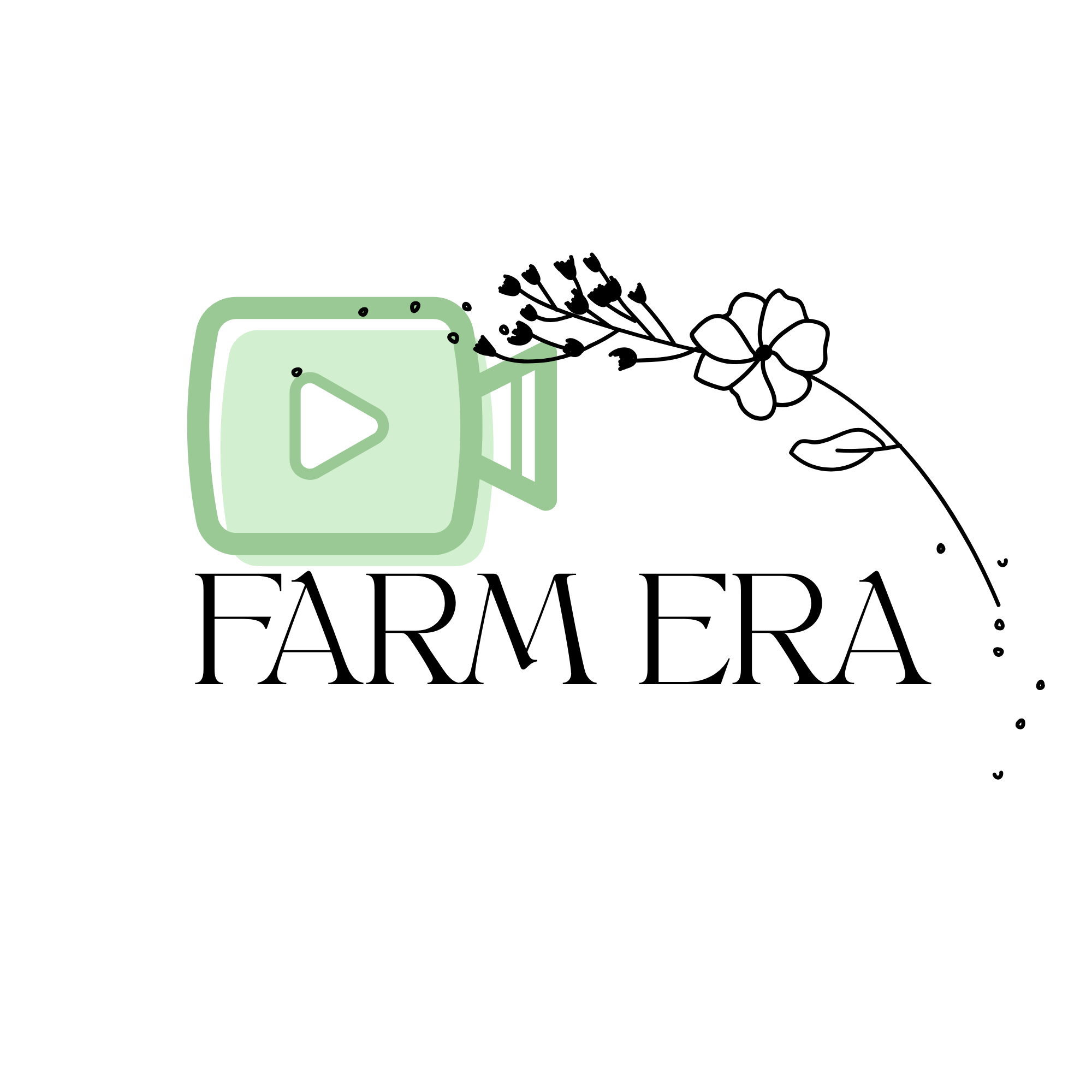 TikTok Video