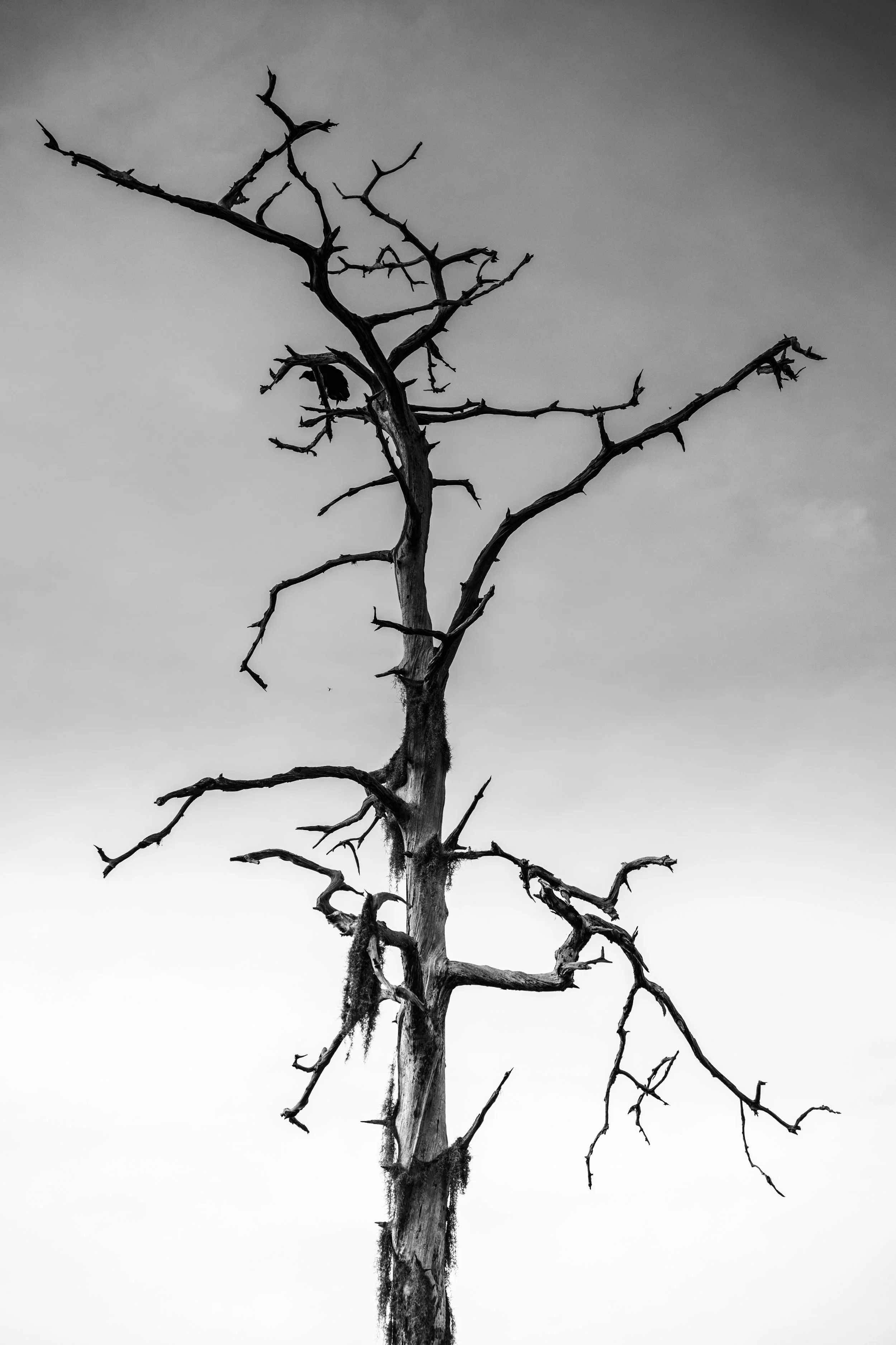 DSC03782.jpg