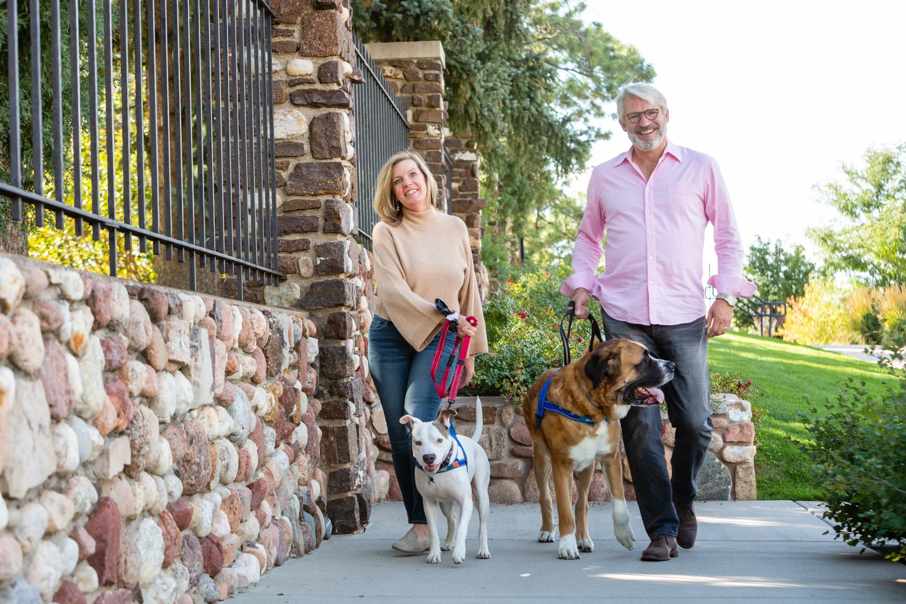 A smiling man and woman walking with three dogs along a sidewalk in a neighborhood with a stone wall and greenery.