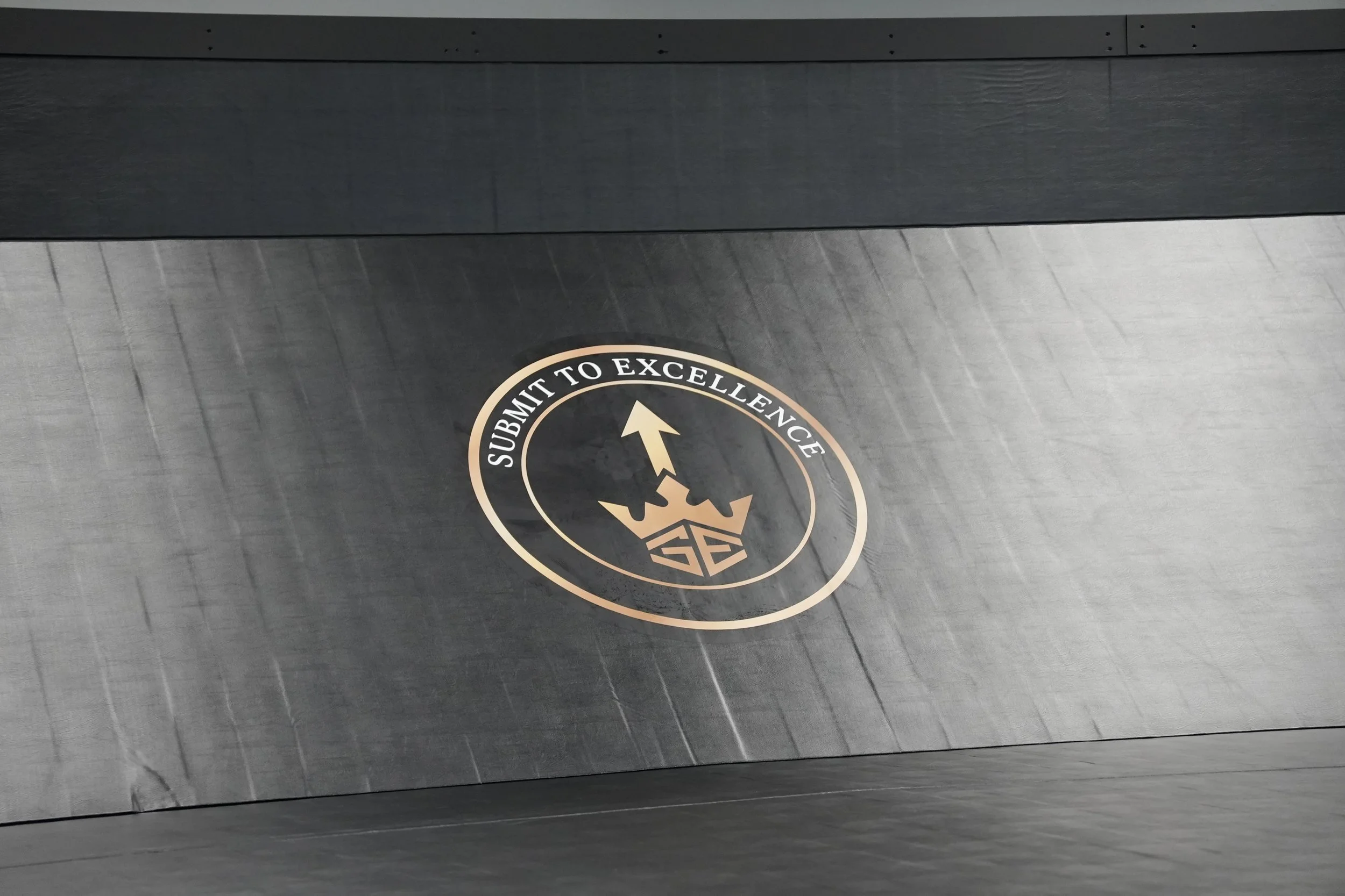 A circular emblem with a gold border, featuring a black ant with wings and the words 'SUBMIT TO EXCELLENCE' surrounding it, placed on a dark, textured metal surface.