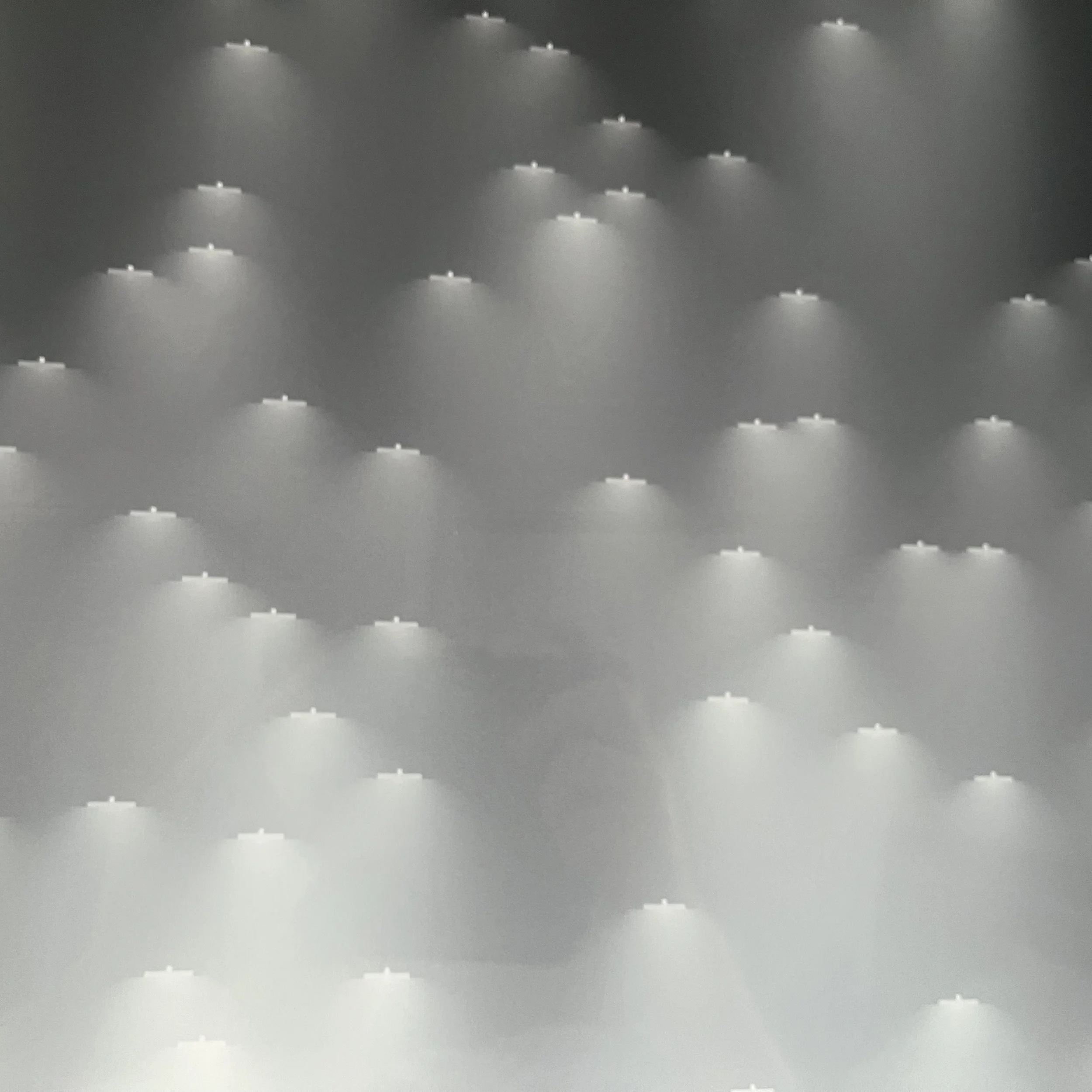 6. Detail(c).JPG