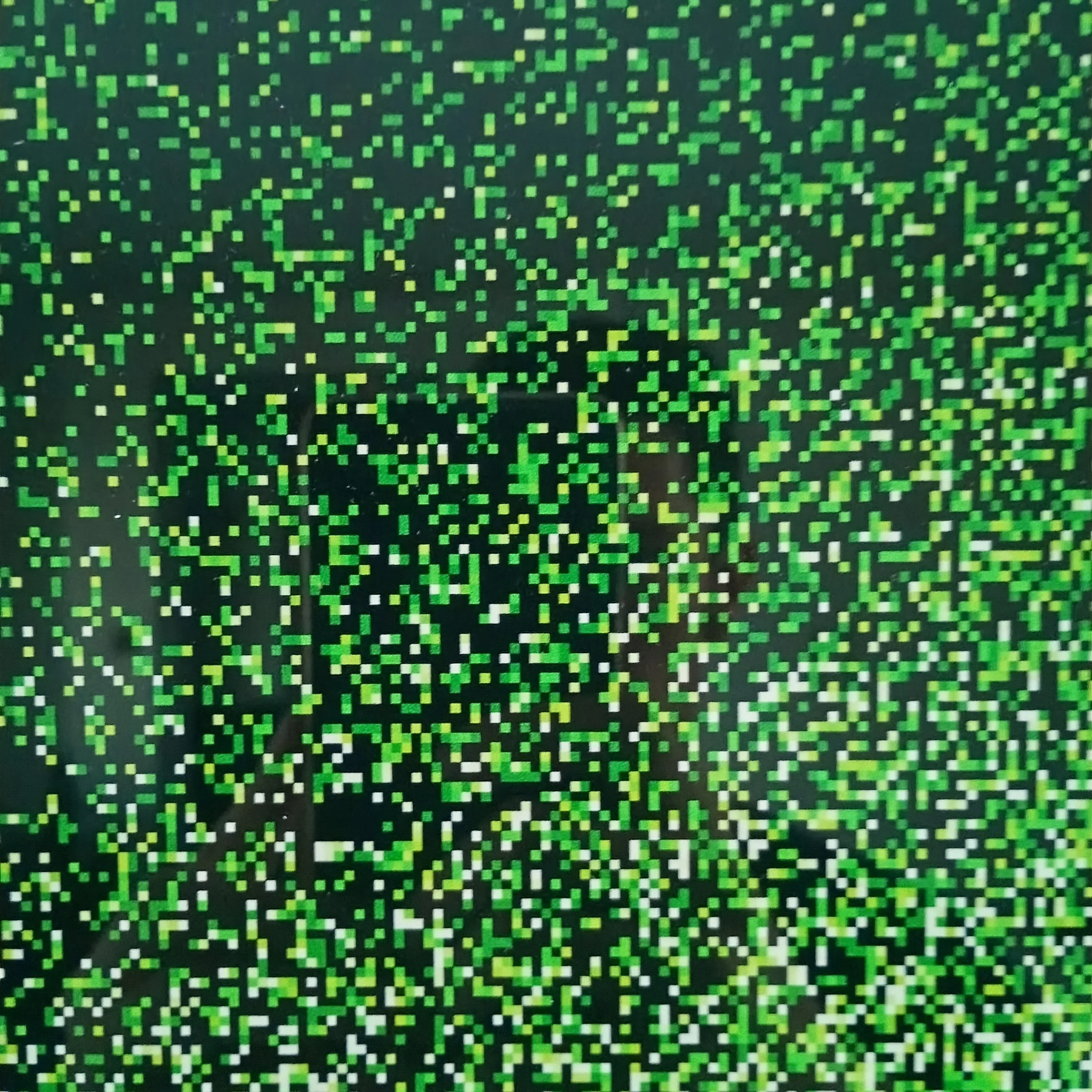 8. Close3.jpg