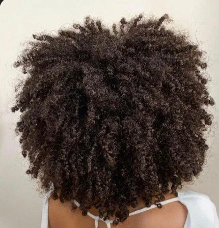 Cabelo afro cacheado e volumoso visto de trás.