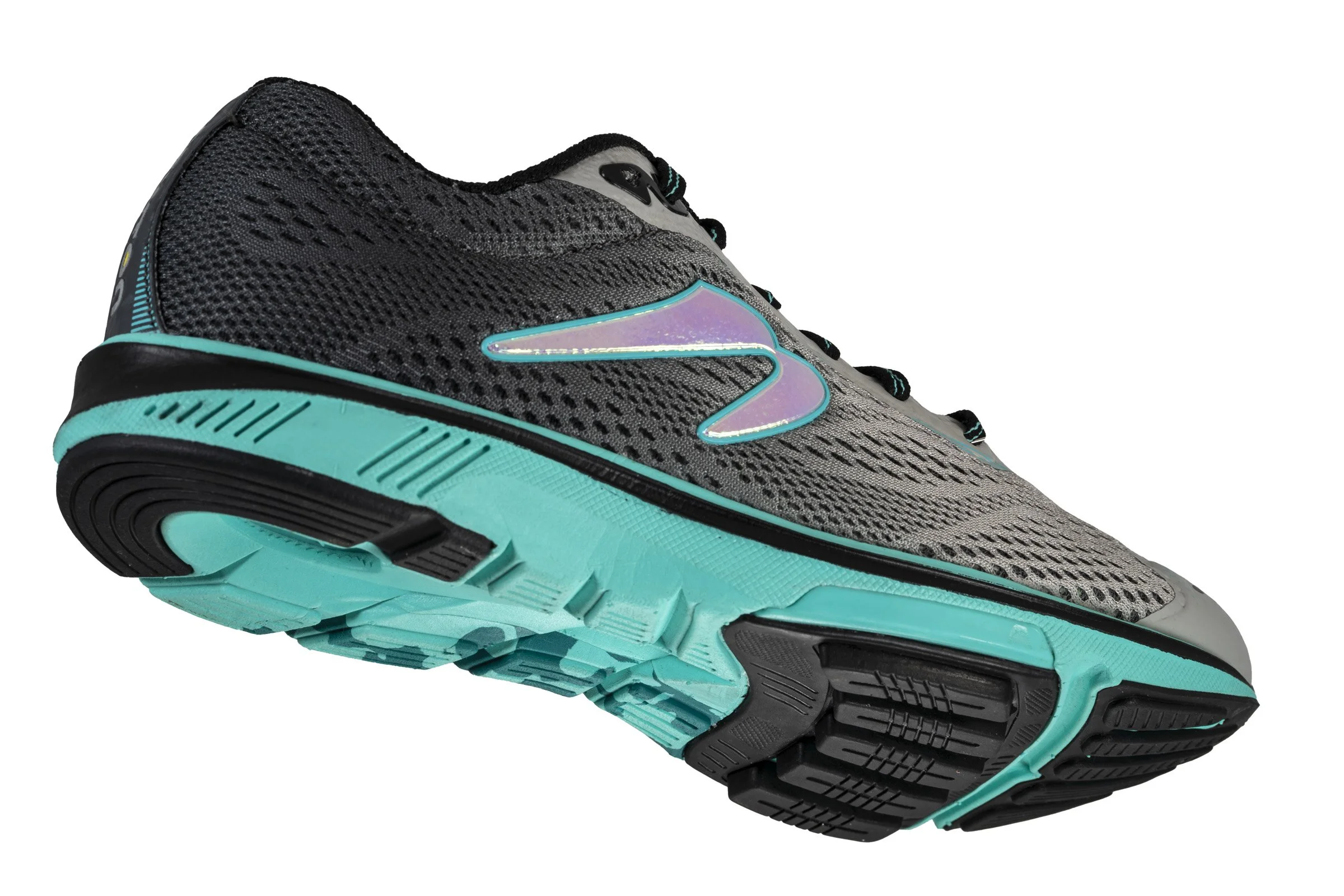 new-newton-pngs-37-2014.jpg