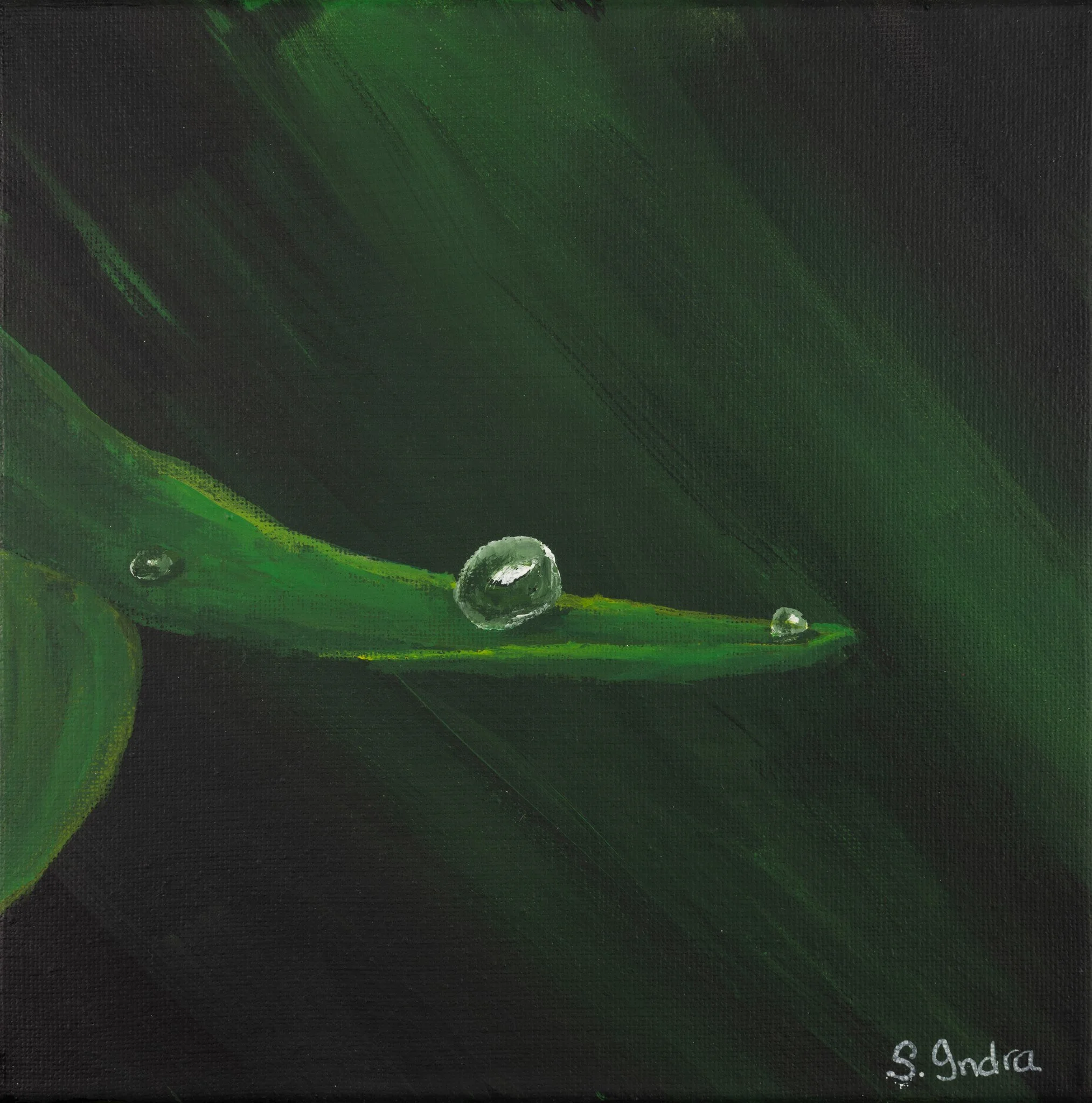 Dew Drop on Leaf - Art Print