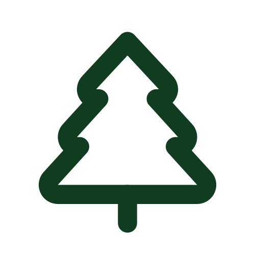 Simple green pine tree outline icon.