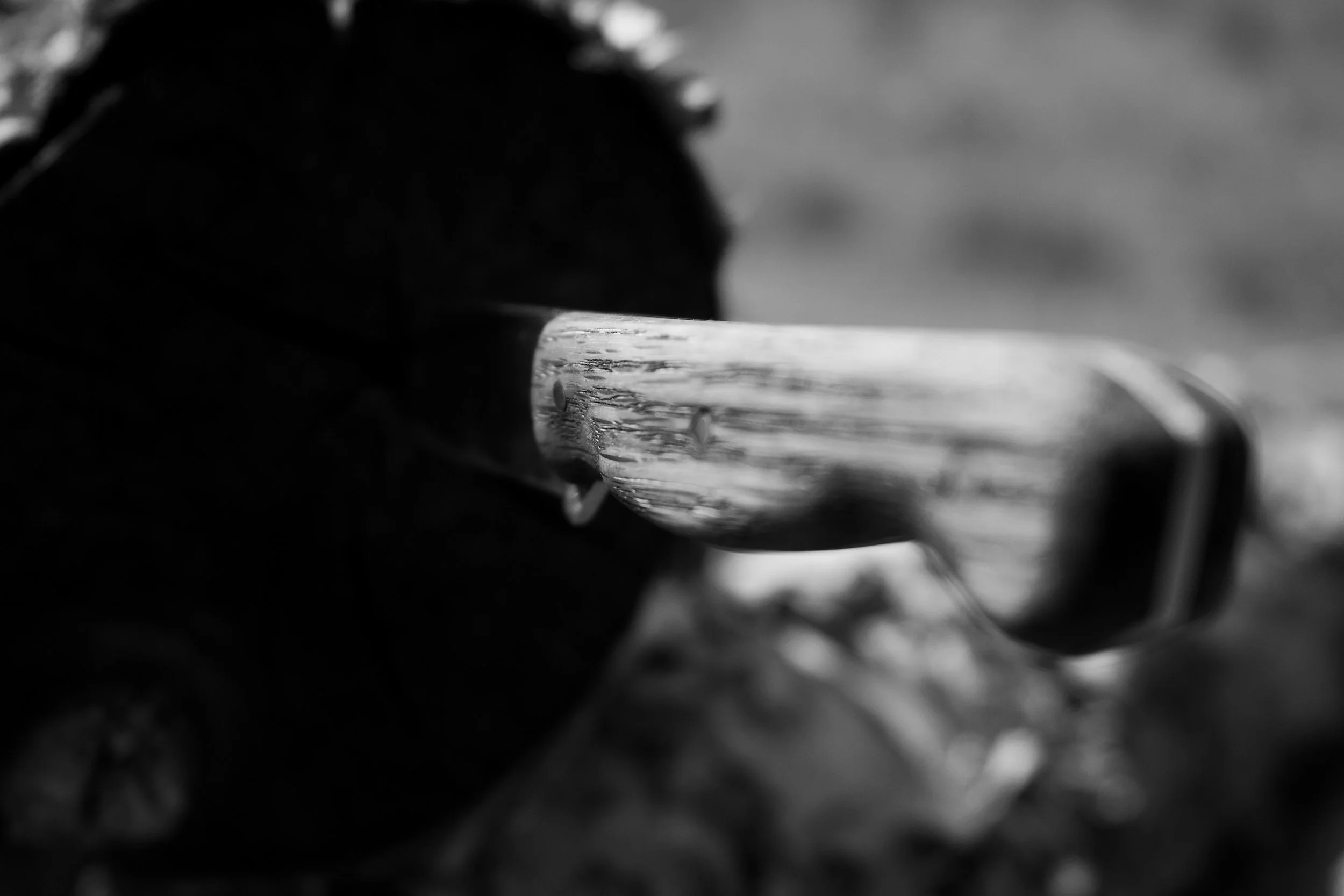 _DSC2894.jpeg