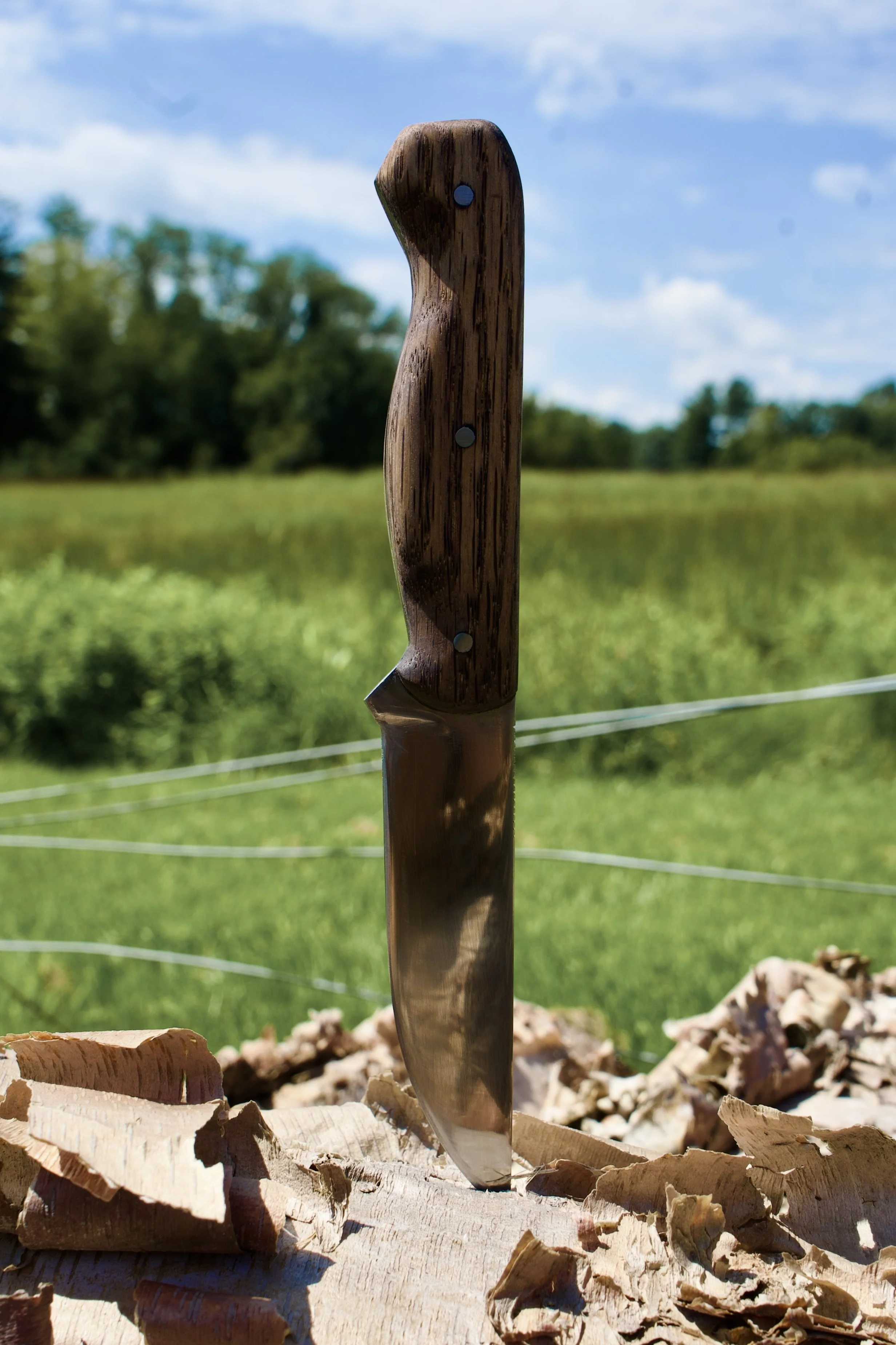 _DSC2883.jpeg
