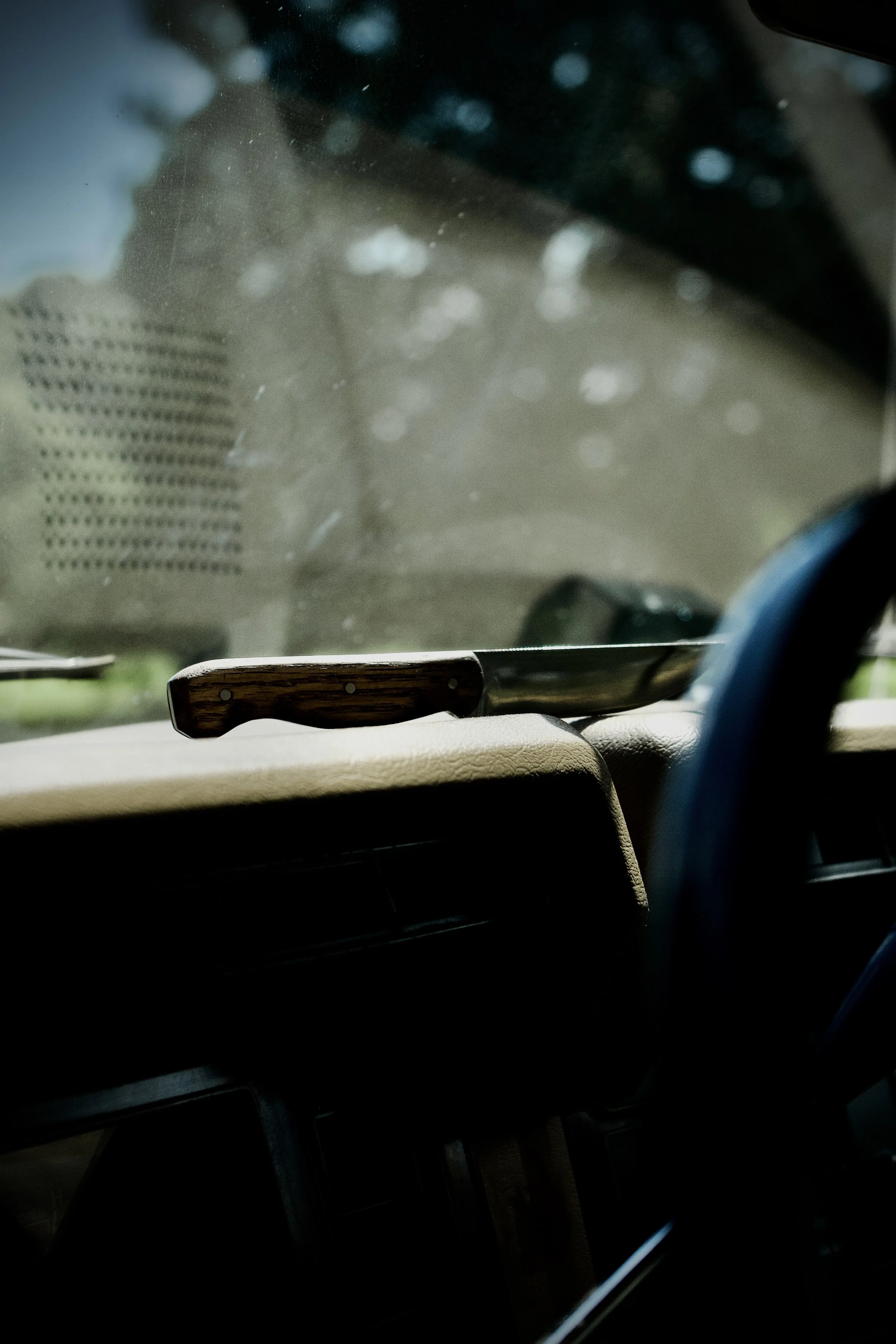 _DSC2907.jpeg