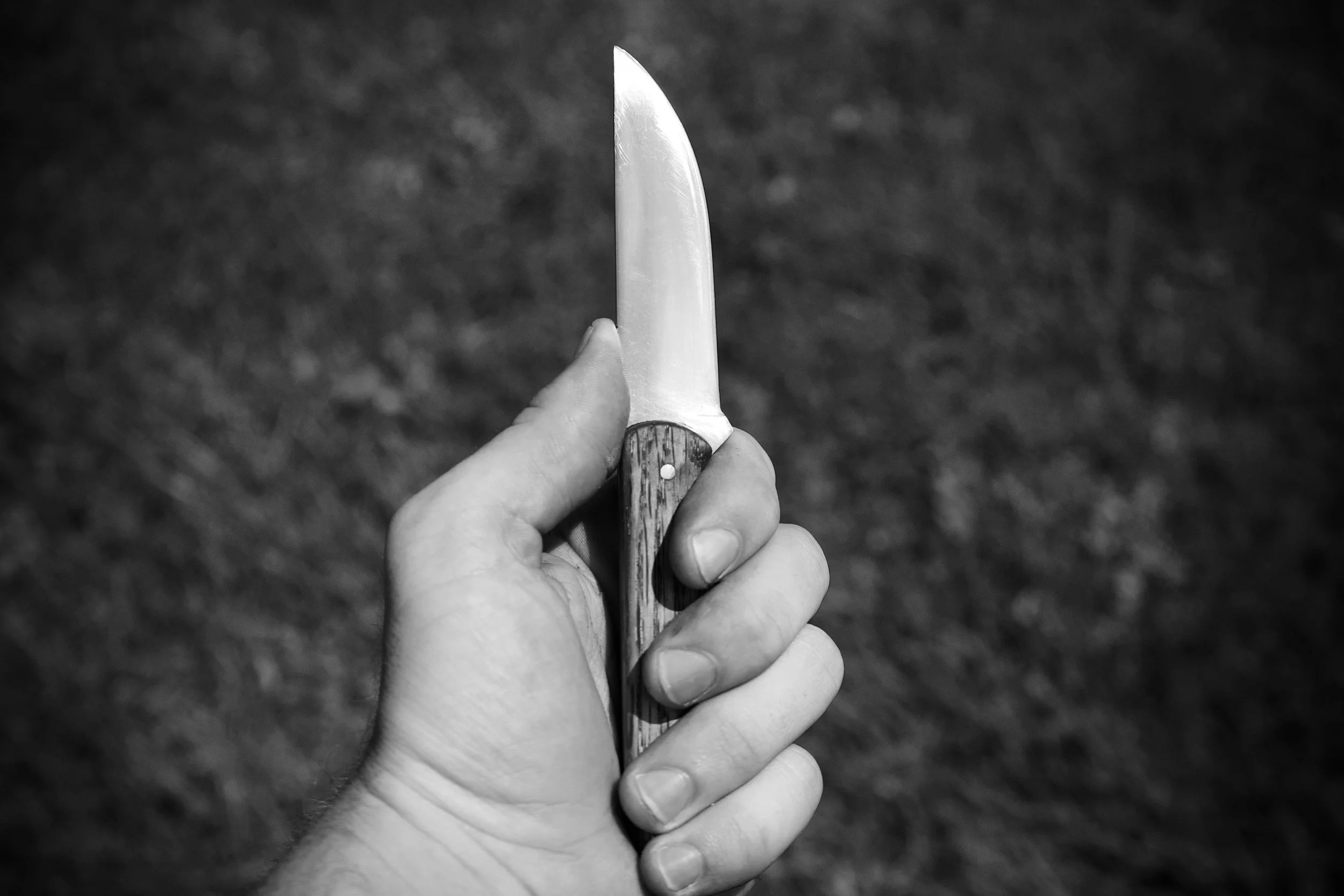 _DSC2897.jpeg