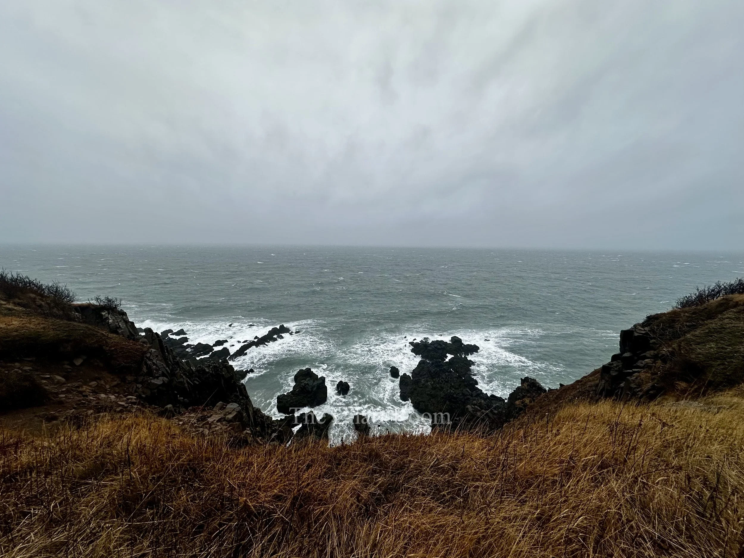 IMG_5388.jpeg