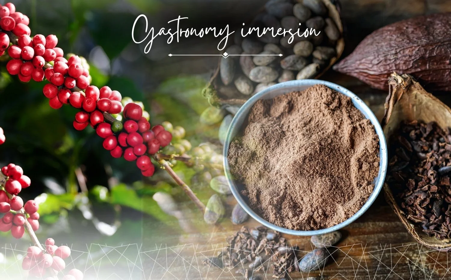 Coffee/Cacao, Cooking workshops/mixology, Mayan inspired gastronomy.