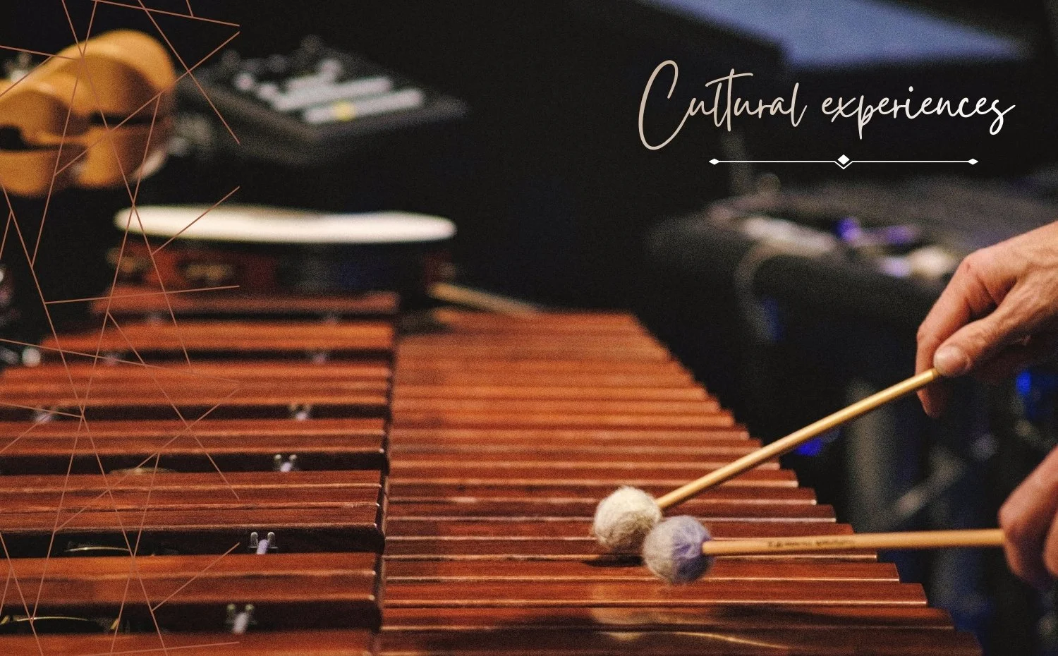 Music, dance and sensorial experiences.
Ancestral music shows, children didactic workshops, modern/fusion and latin sounds.