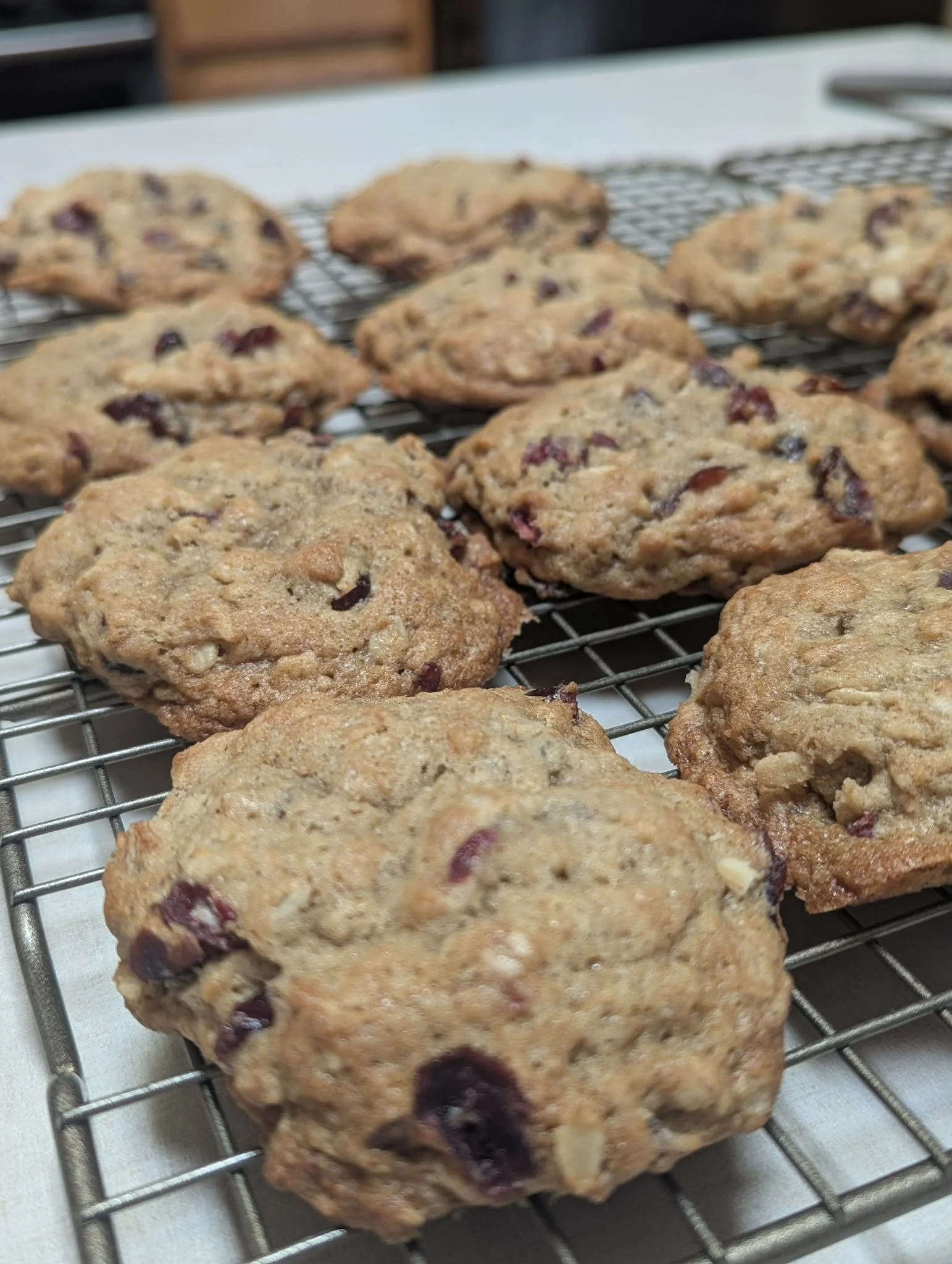 Cranberry Oatmeal