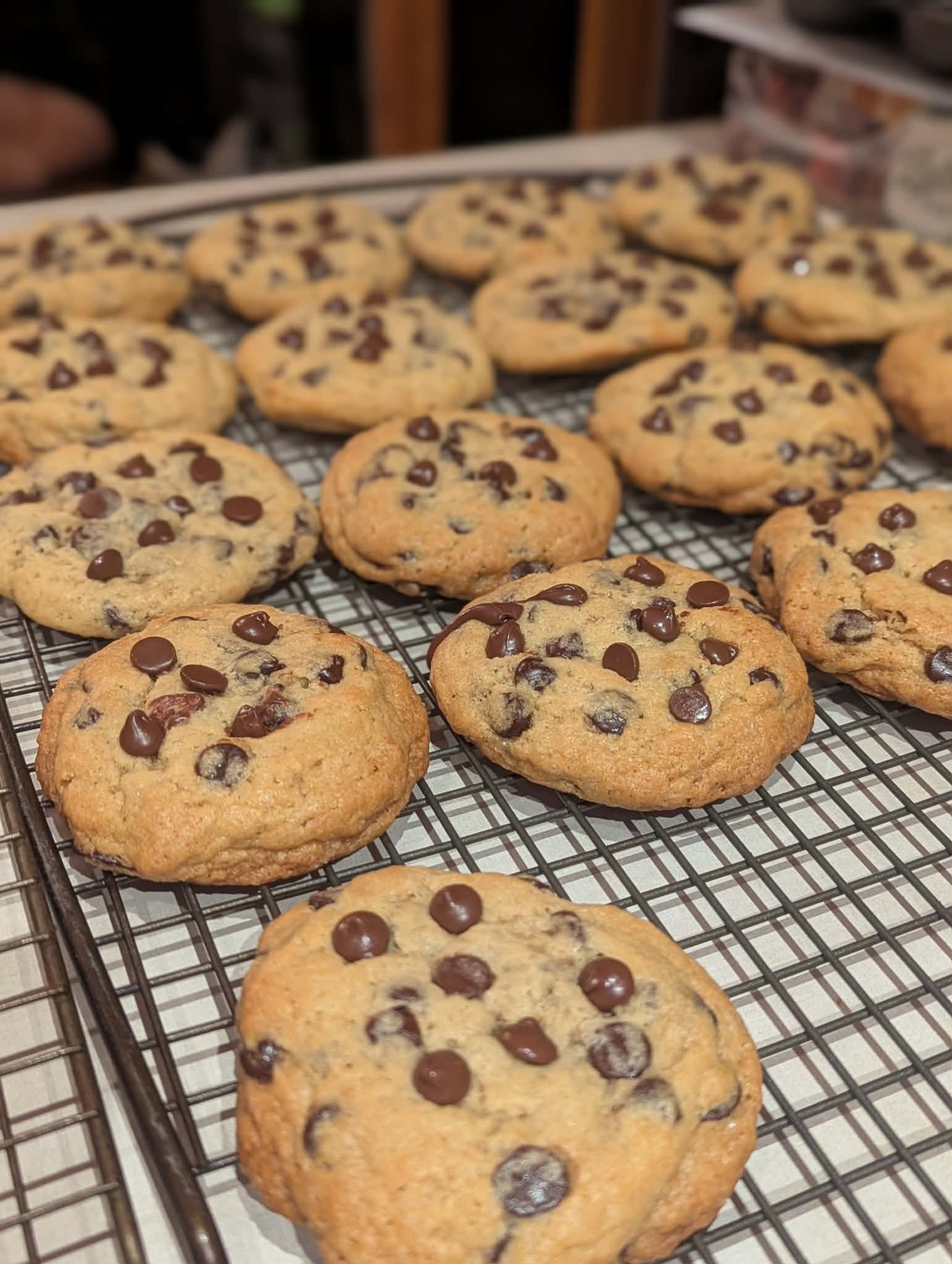 Double Chocolate Chunk