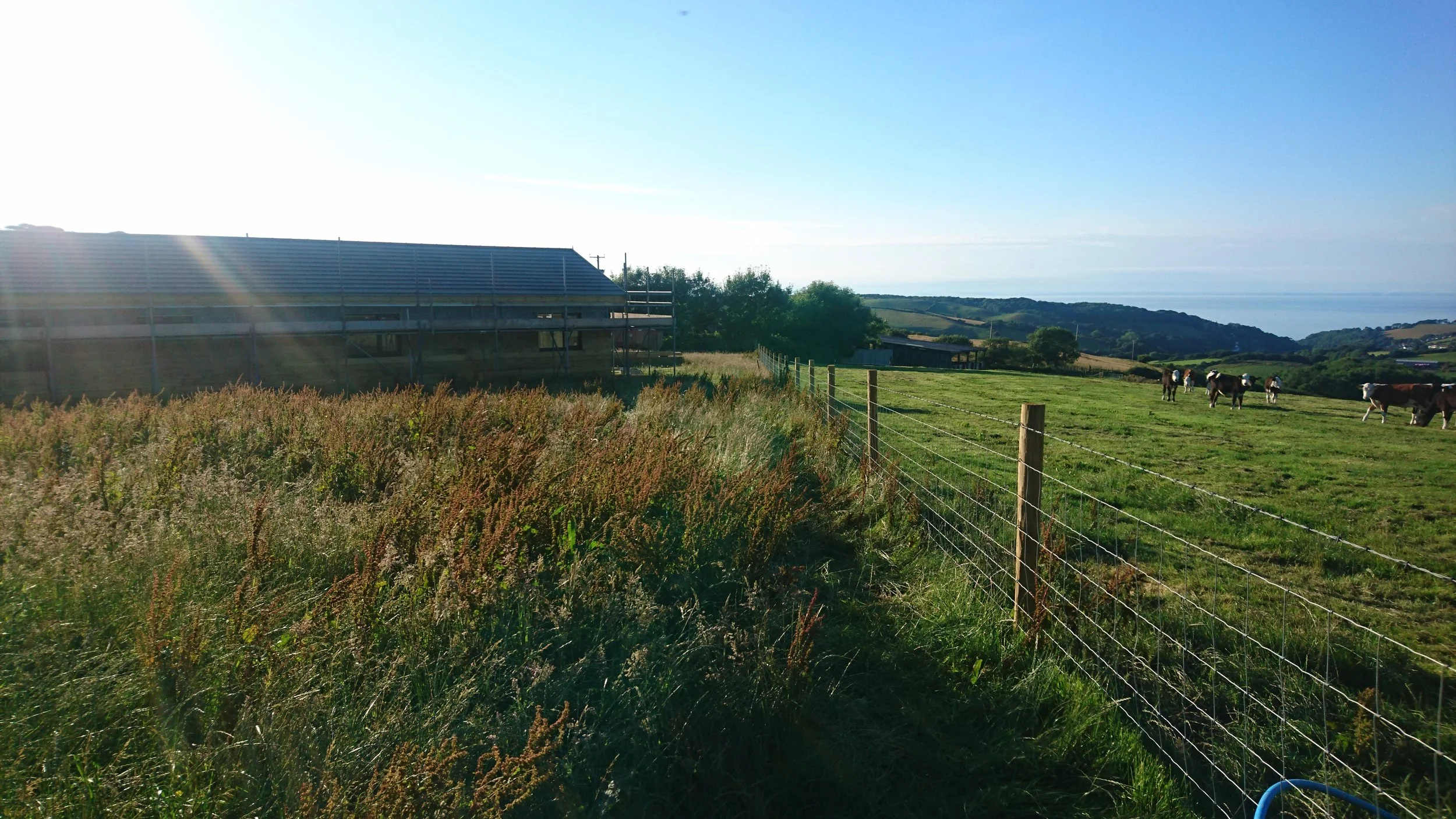 DSC_3942.jpg