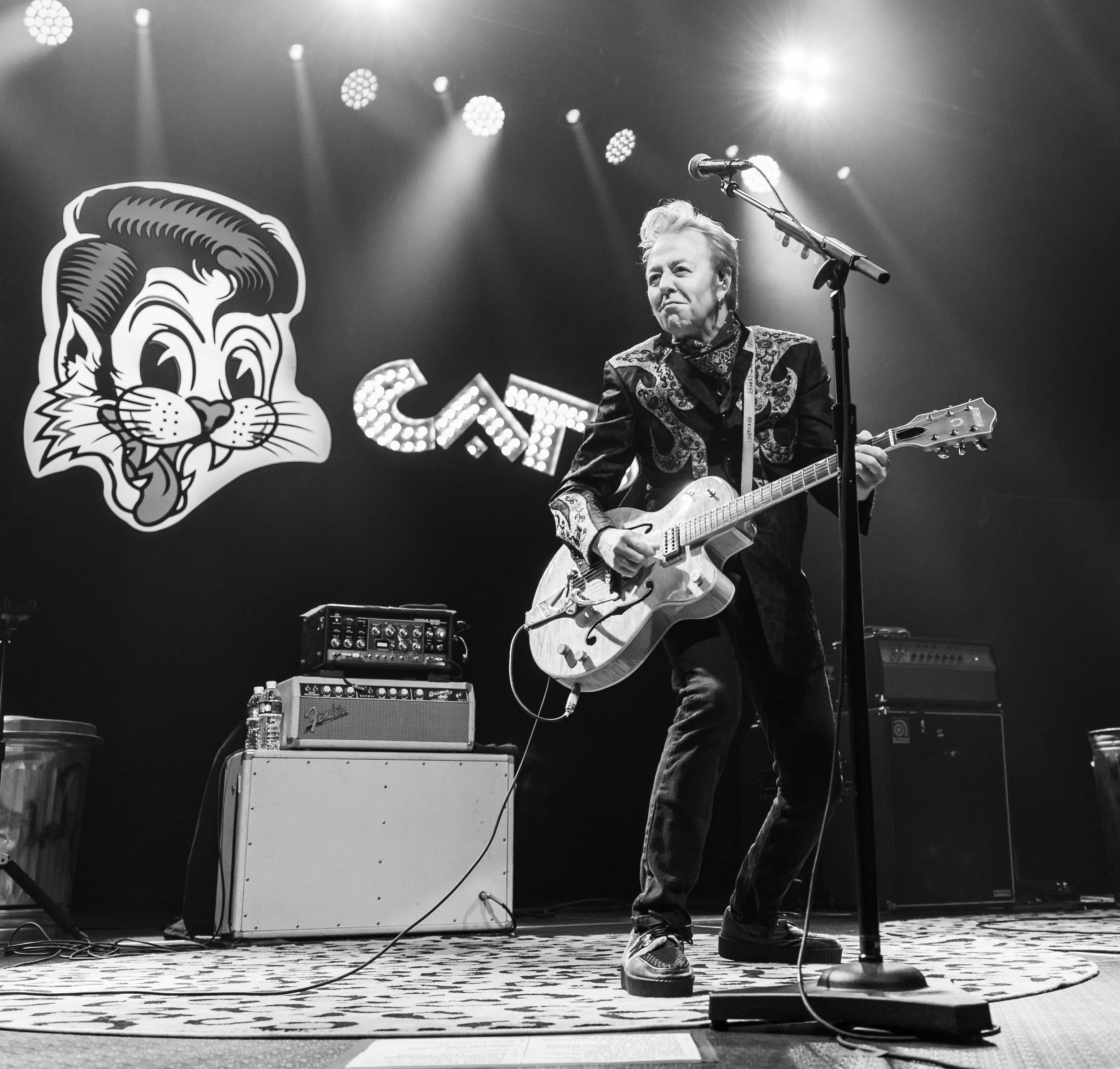93-Stray Cats 2026 Northfield-3.jpg