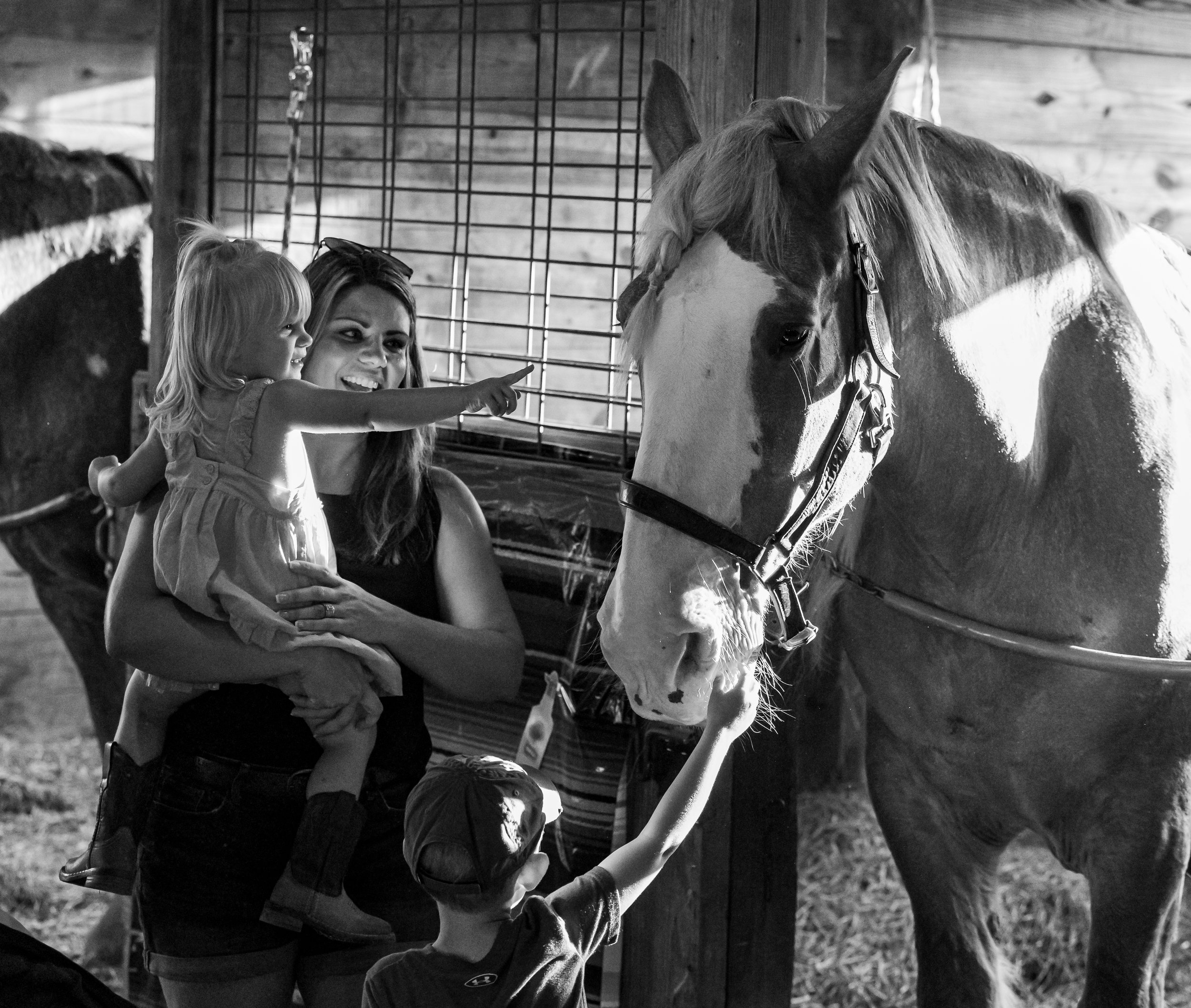 80-Randolph Fair-15.jpg