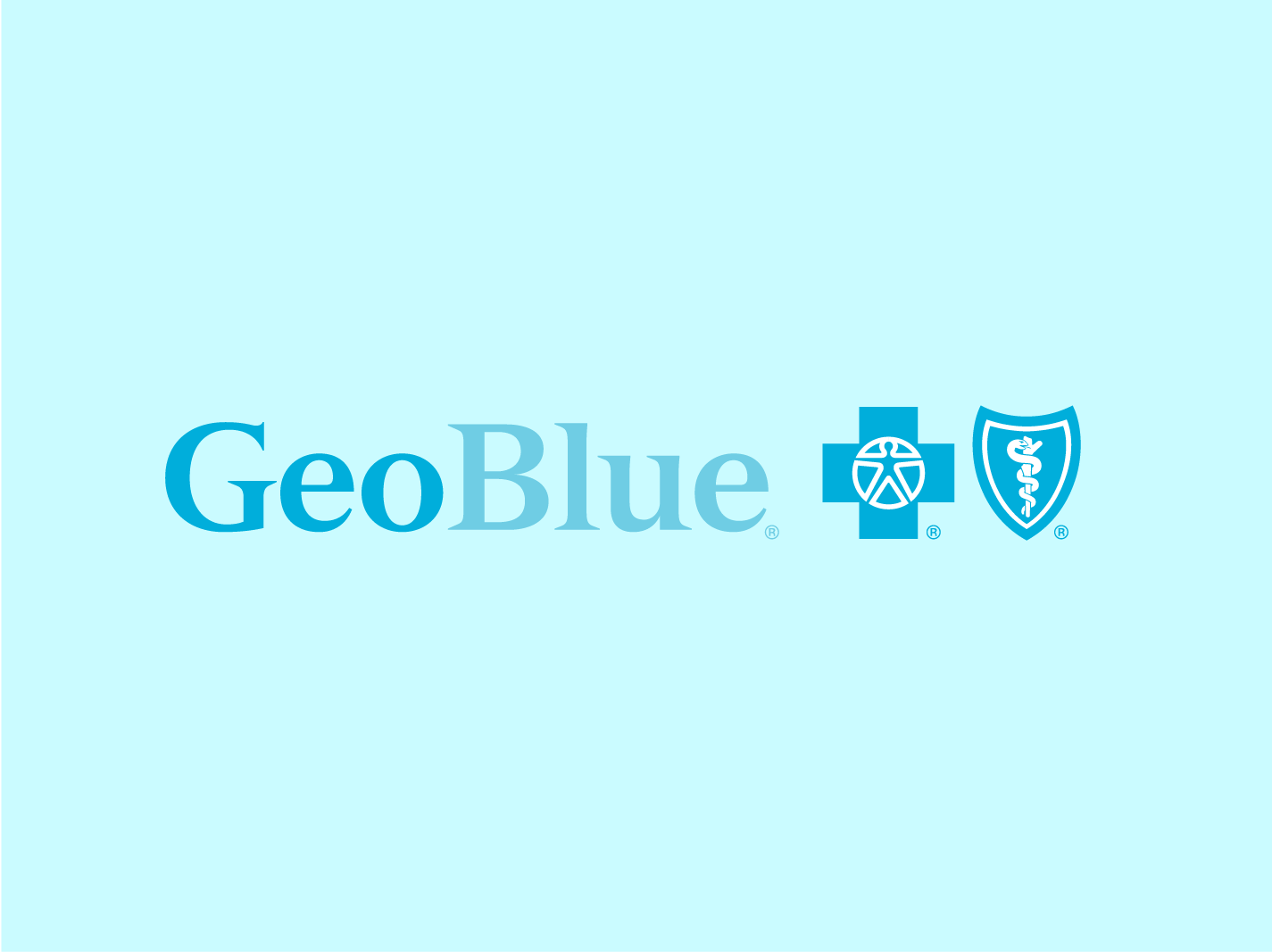 Portfolio Spotlight Boxes_GeoBlue.png