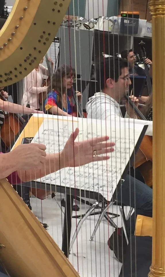 Musicians practicing an orchestra, with a harp visible in the foreground and sheet music on a stand.