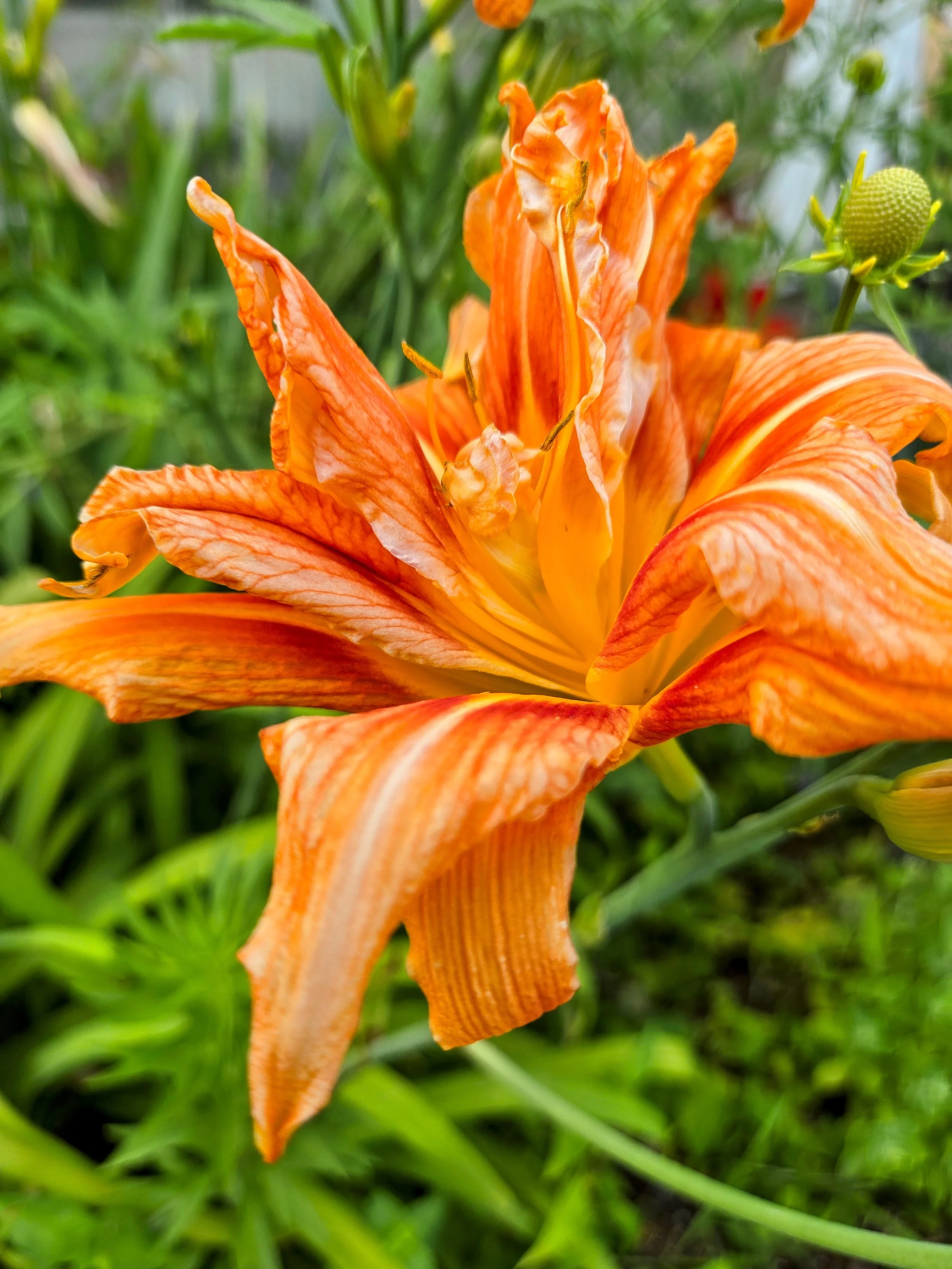 20260709_172402-EDIT-2.jpg