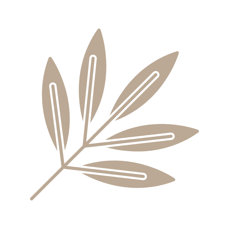 A minimalist illustration of a branch with six elongated leaves in a beige color against a black background.