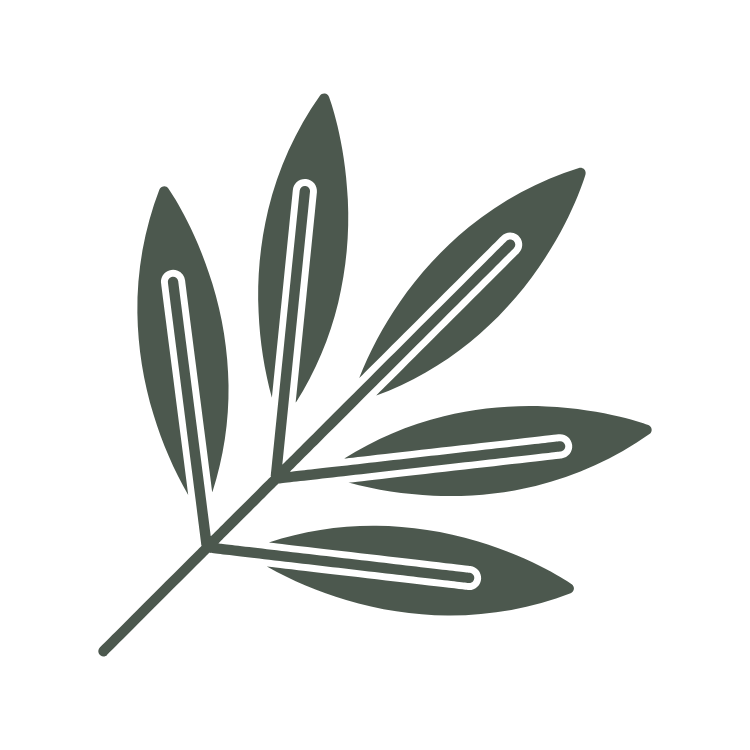 Illustration of a green olive branch with elongated leaves on a black background.