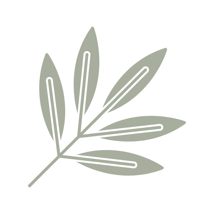 Illustration of a leafy branch with elongated leaves on a black background.