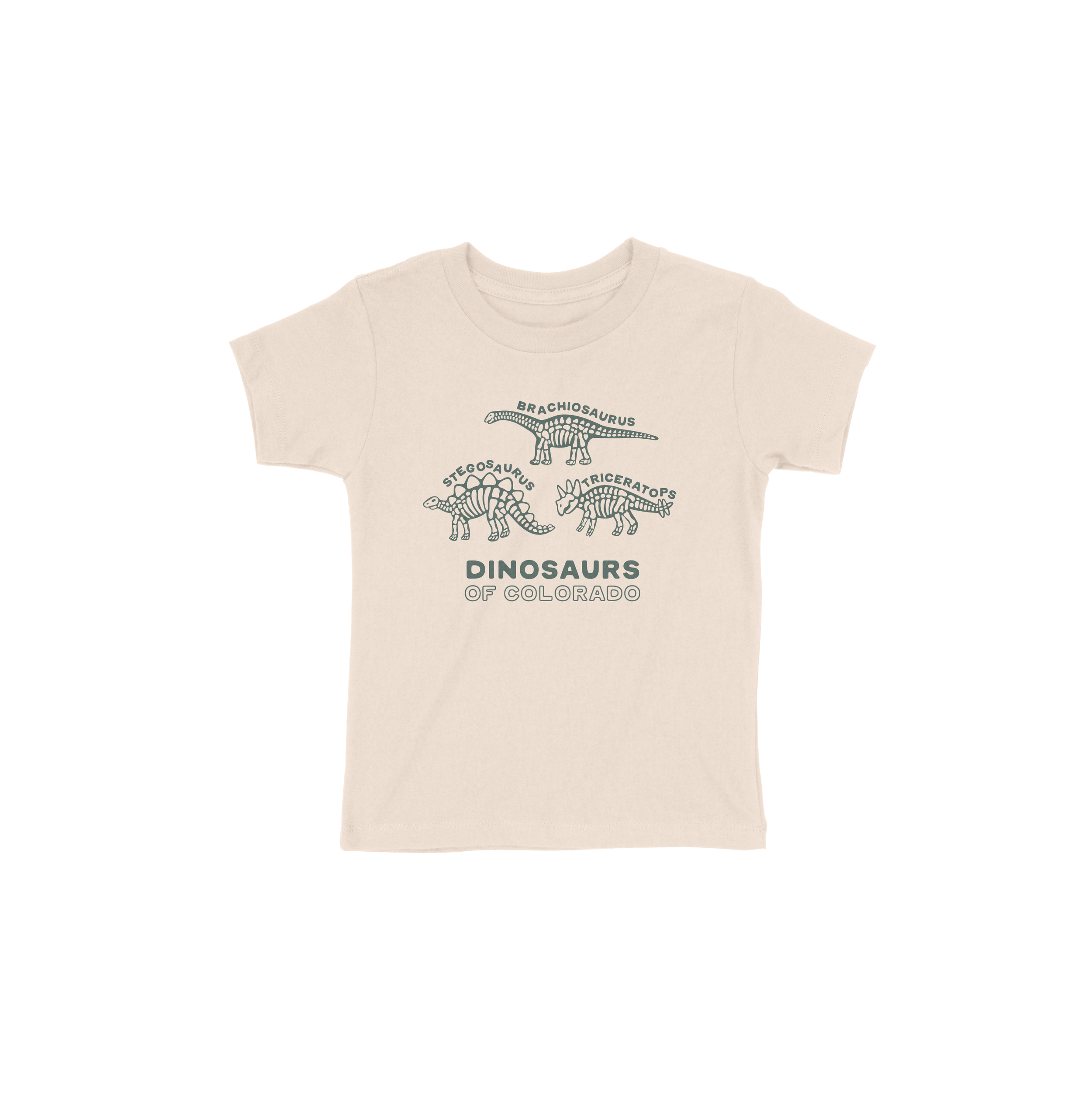 TODDLER_Dinosaurs of Colorado_3001T_HthDust.png