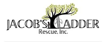 Jacob's Ladder Rescue, Inc.