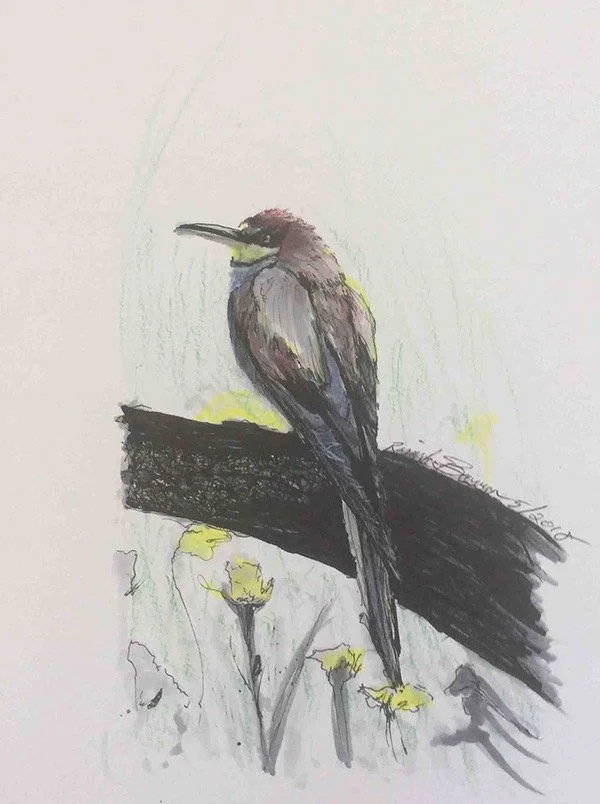 Bird 3