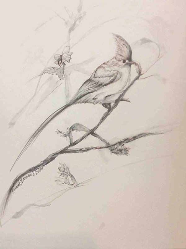 Bird 4
