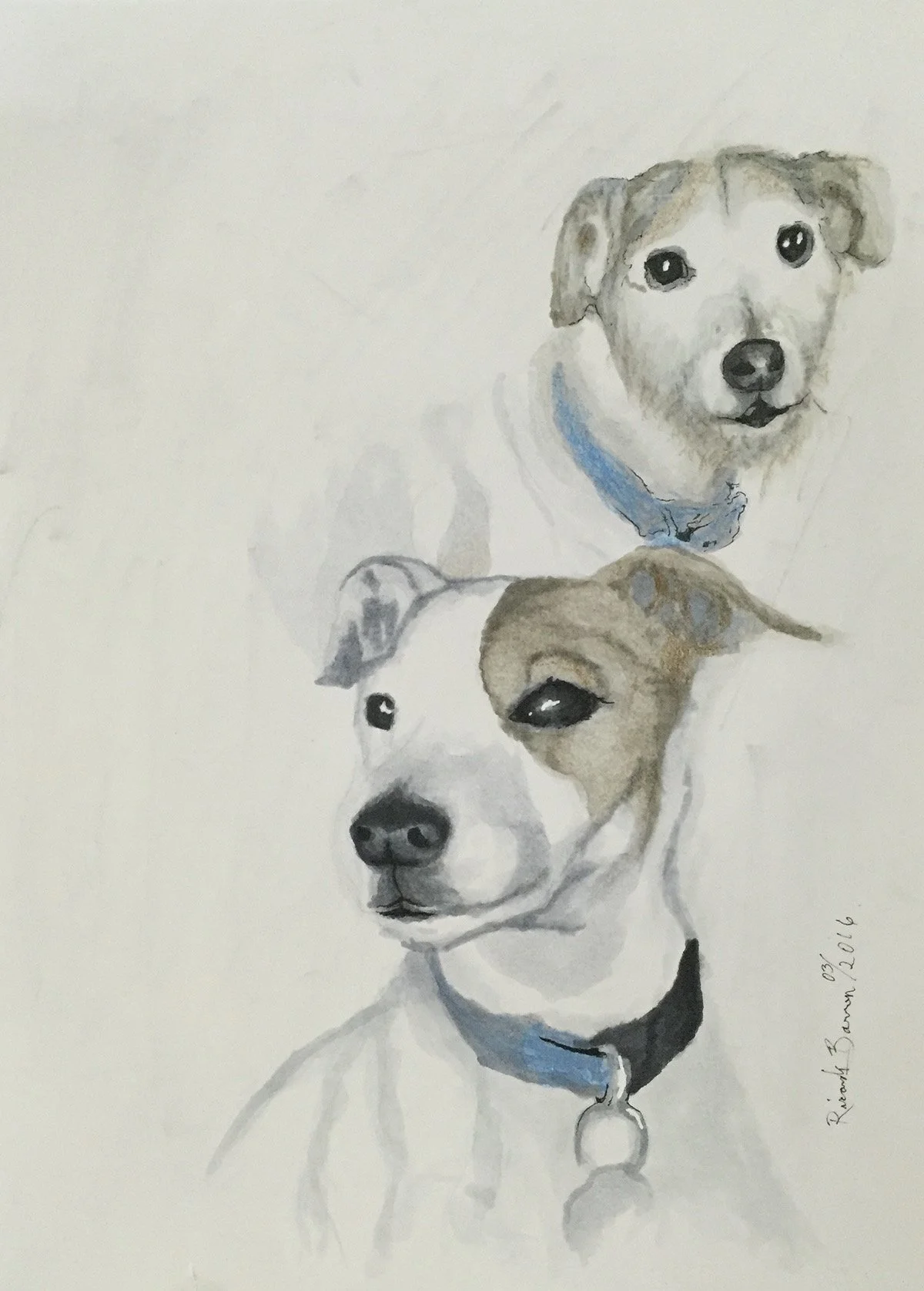 Dog 1
