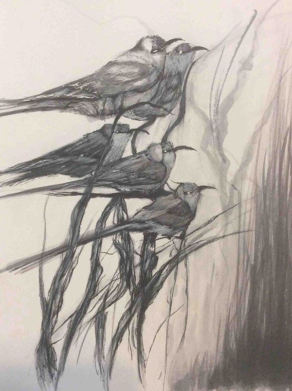 Bird 1