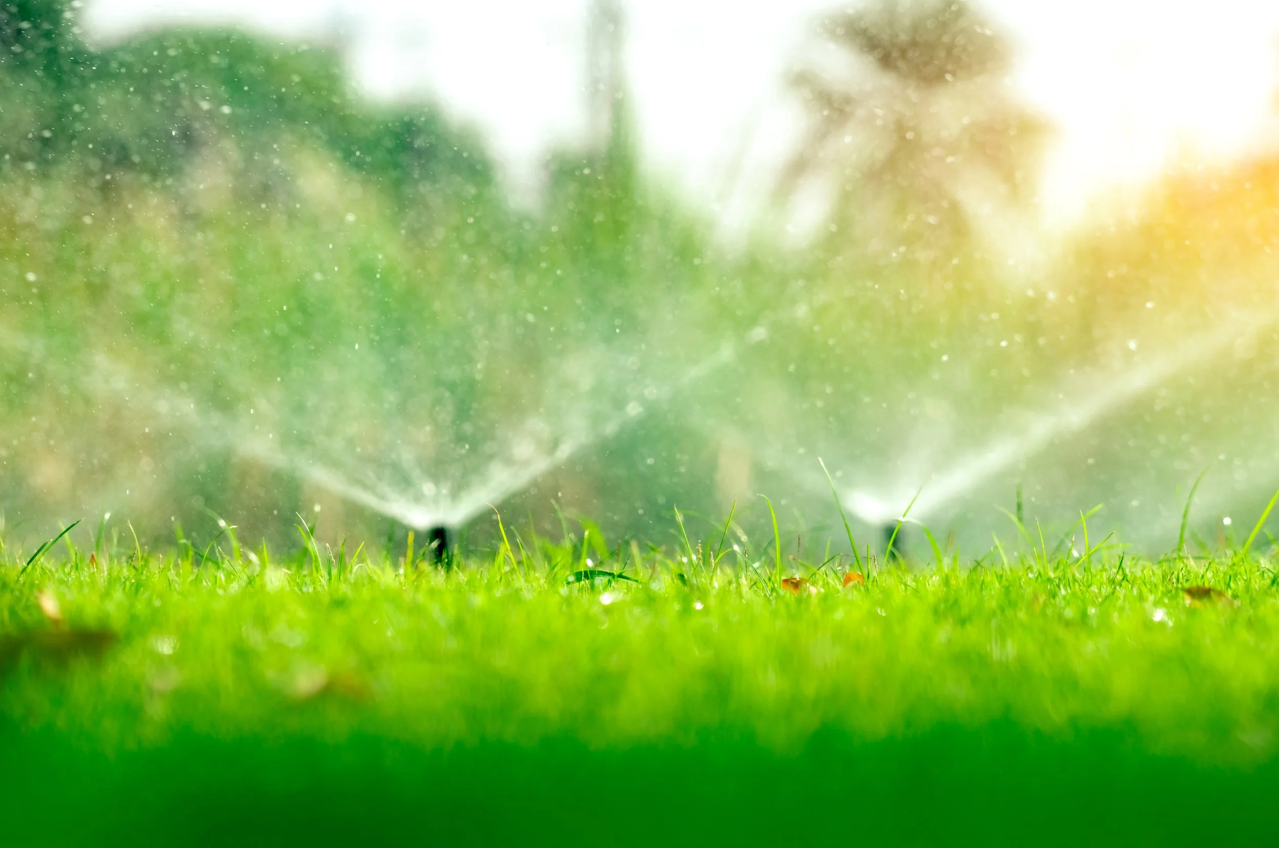 Drainage & Irrigation
