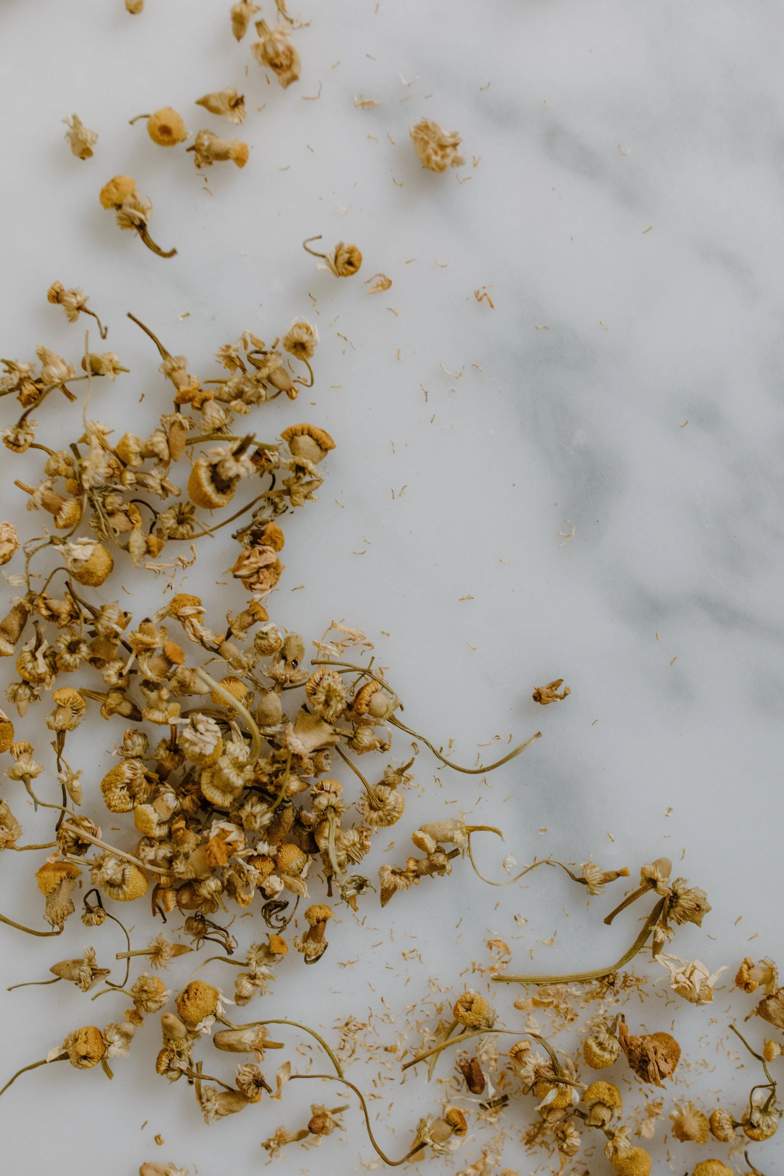 Personalized Herbal Wellness Consultation