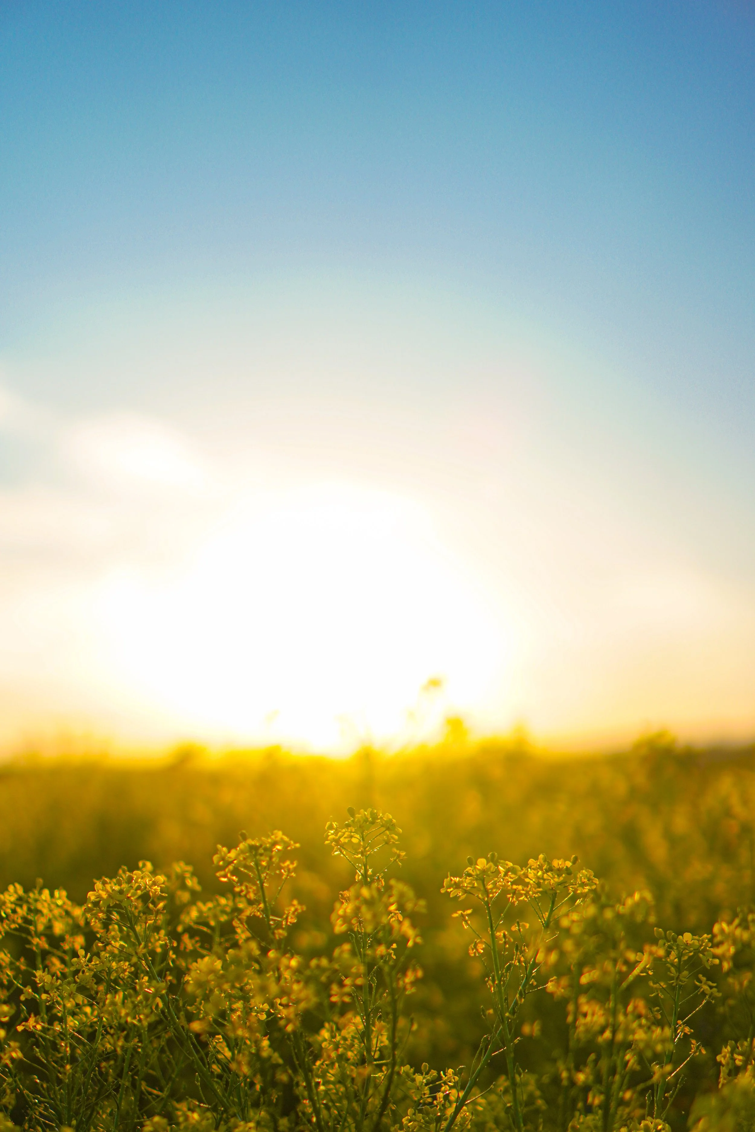 Seasonal Wellness Journey