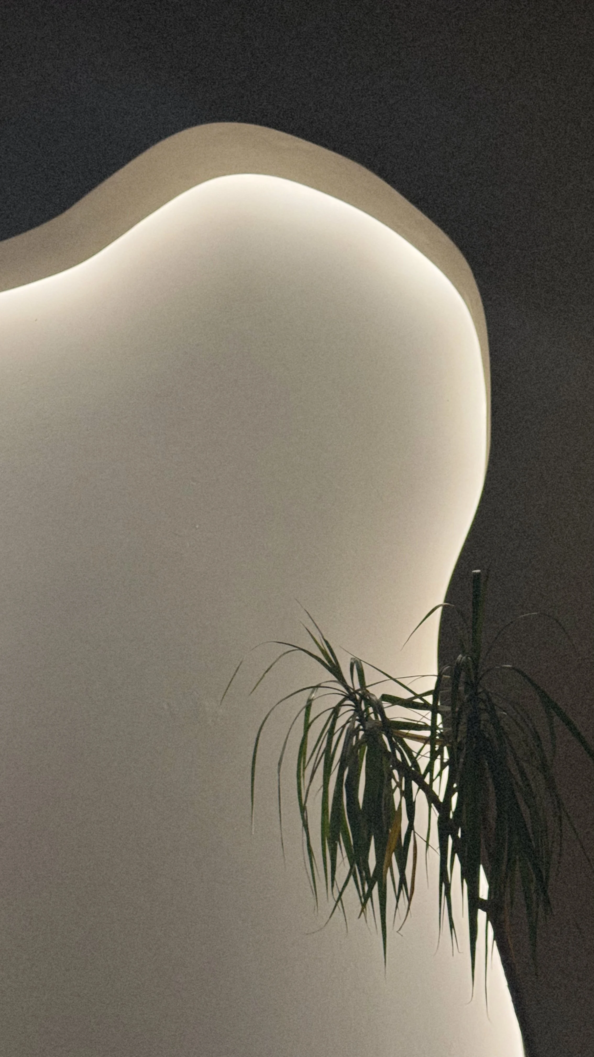 Architectural lighting and organic textures inspired by the sun-warmed coastal desert at Melt West.
