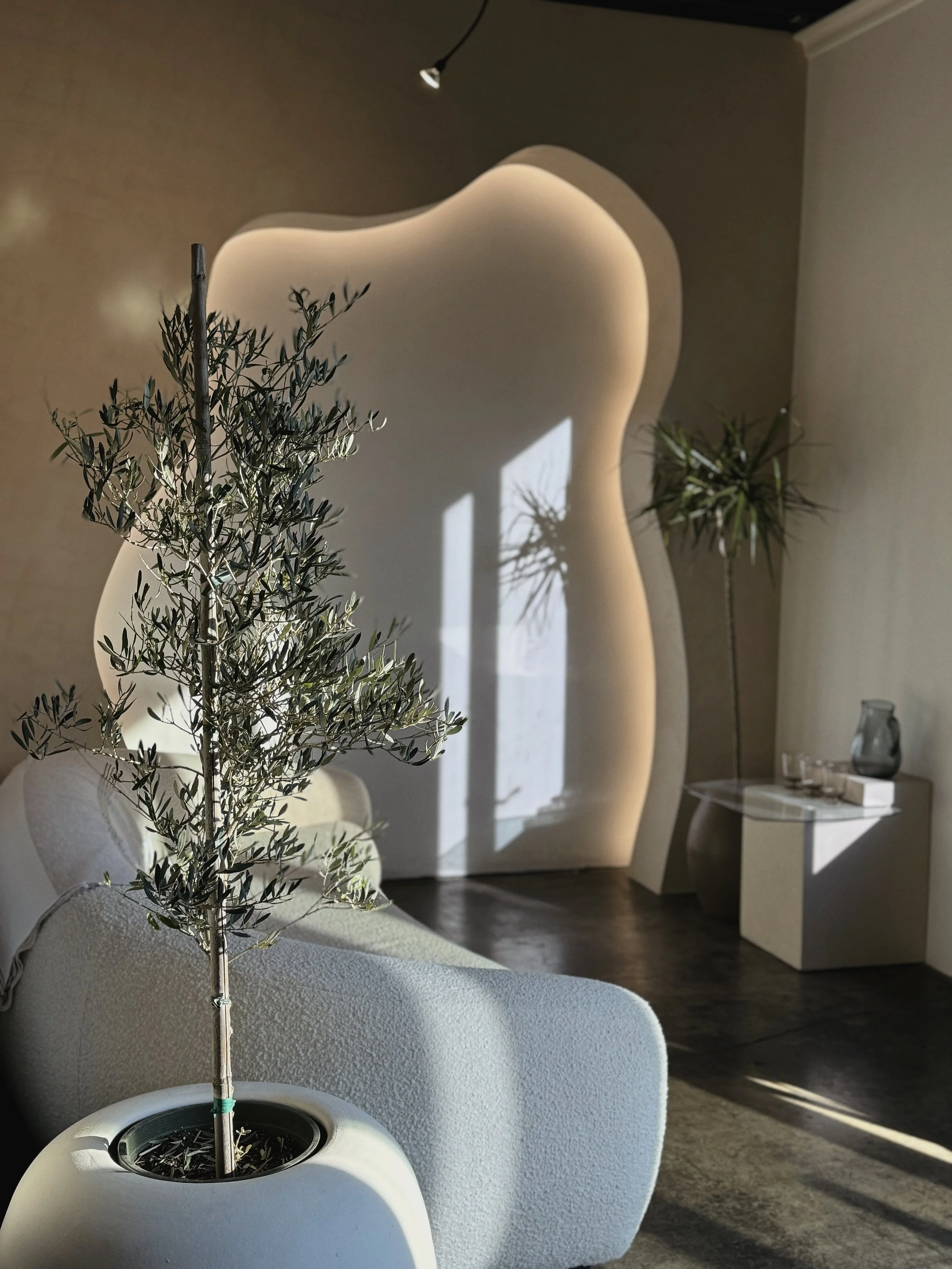 Boutique beauty studio interior at Melt West featuring sun-warmed tones, natural textures, and a calming atmosphere.