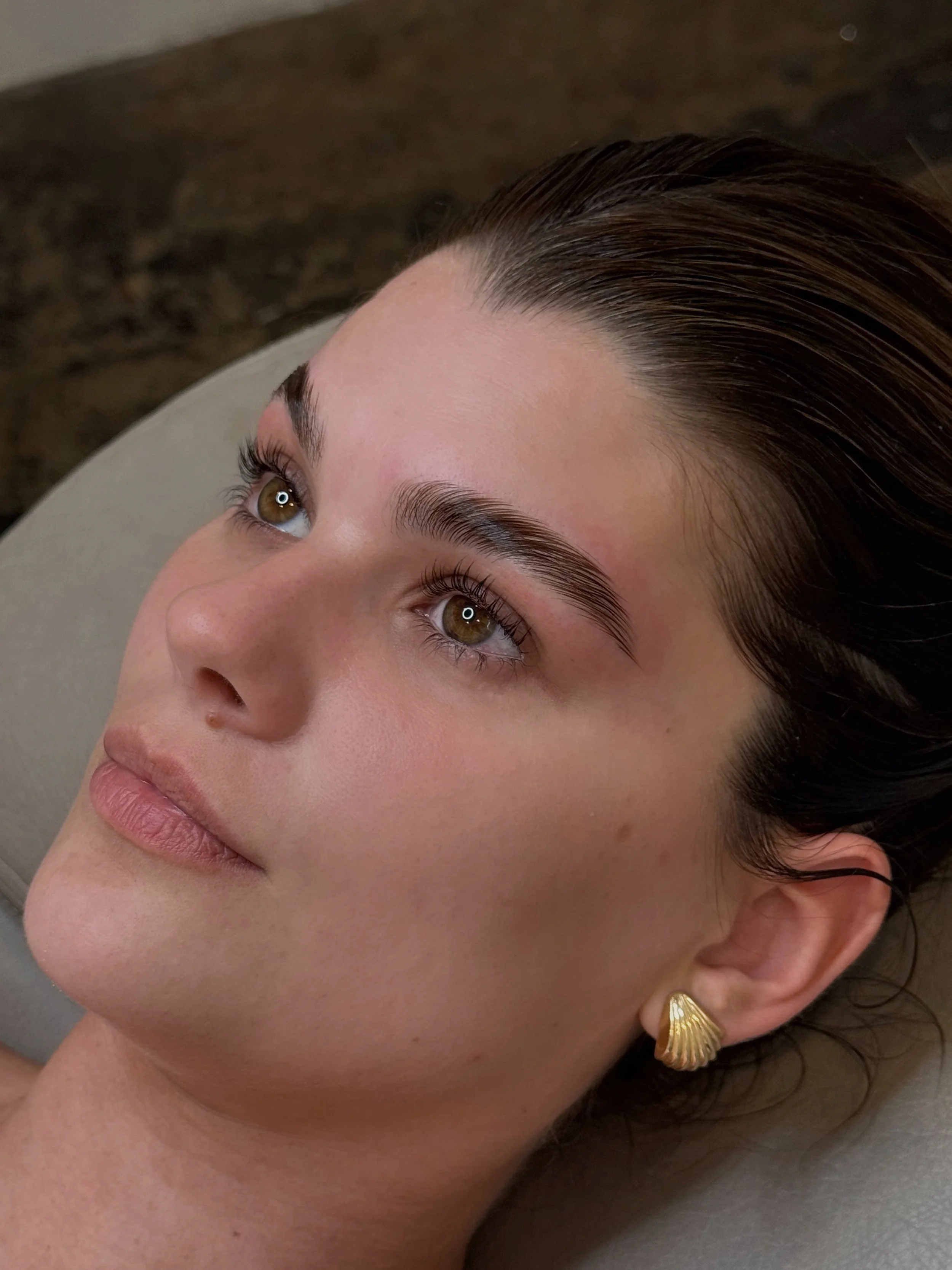 Refined brows after brow lamination at Melt West in Solana Beach