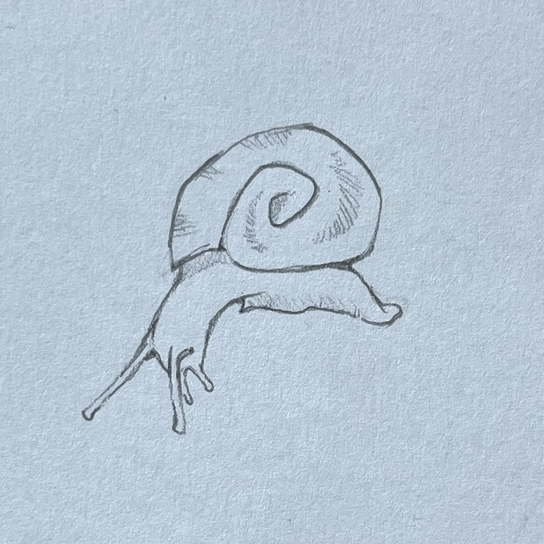 snail.jpeg