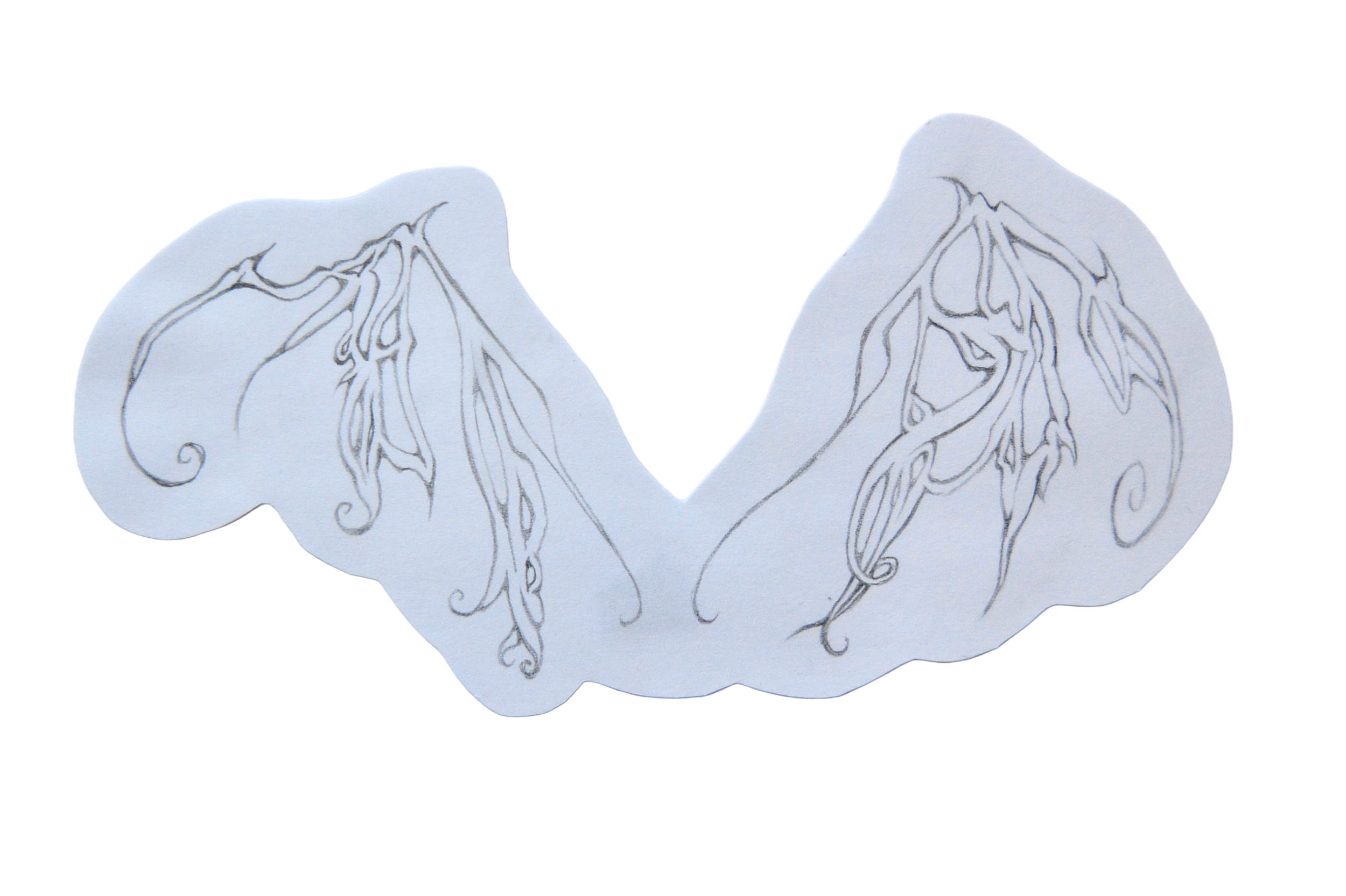 wings.png