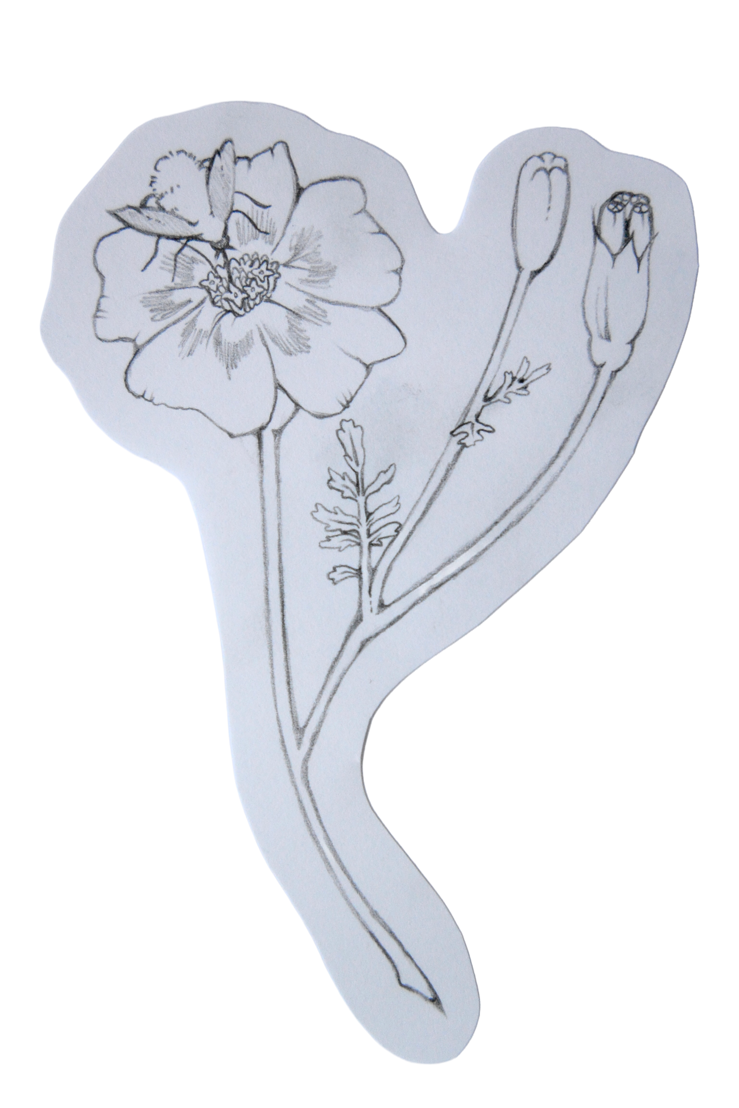 flower2.png