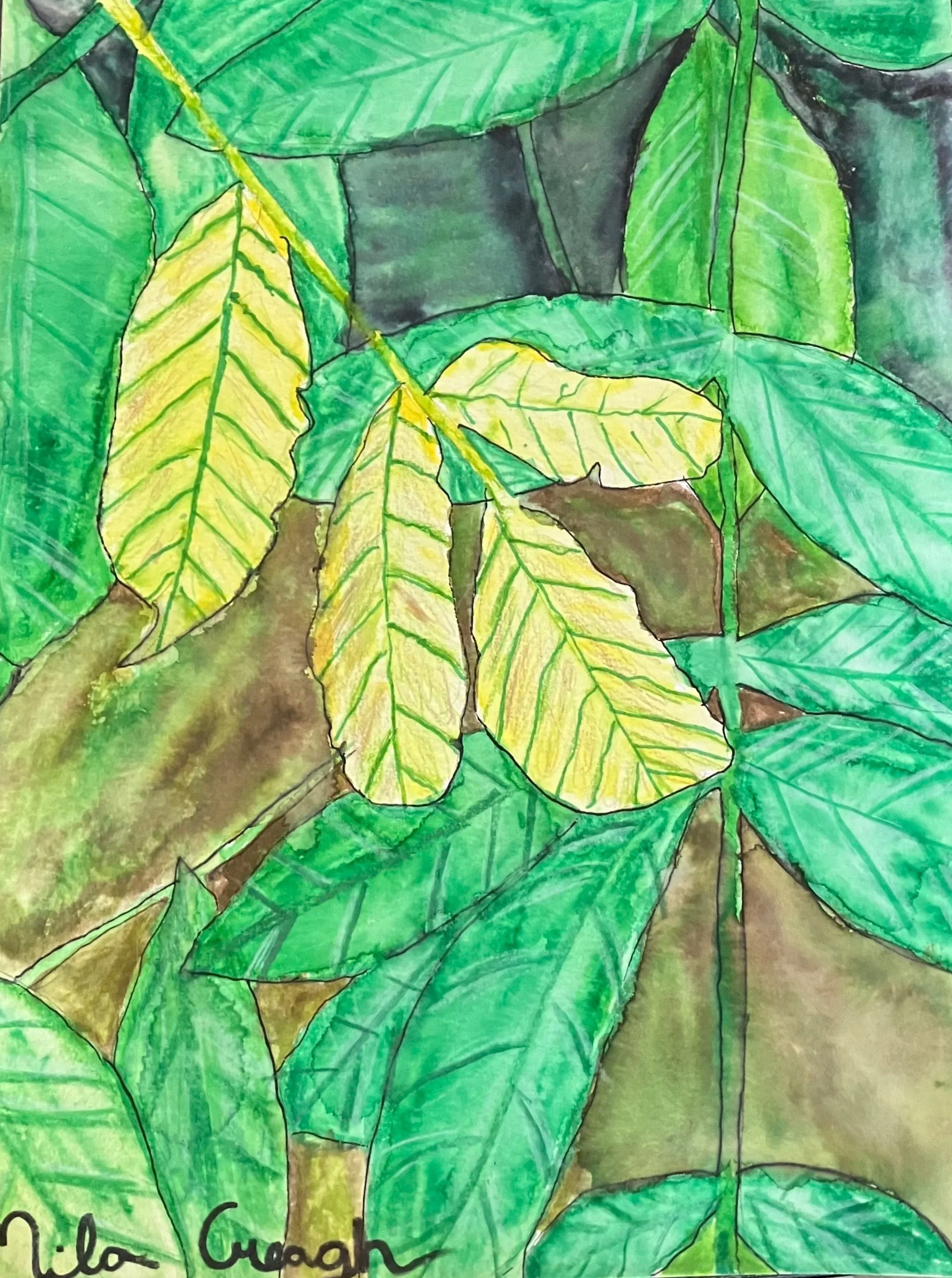the backyard forest - (colored pencil, watercolor) 