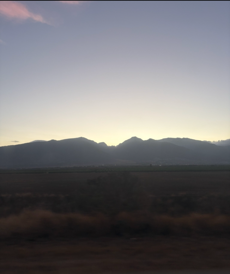 IMG_7370.png
