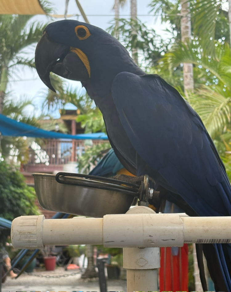 IMG_7408.png